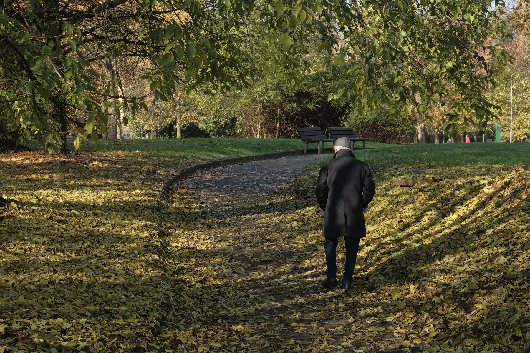 Vari tipi di autunno