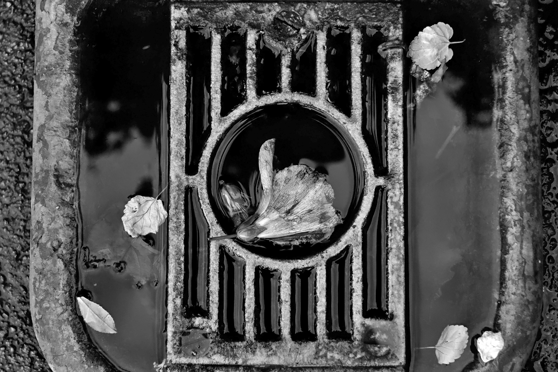 Poesia di un piatto di fontana