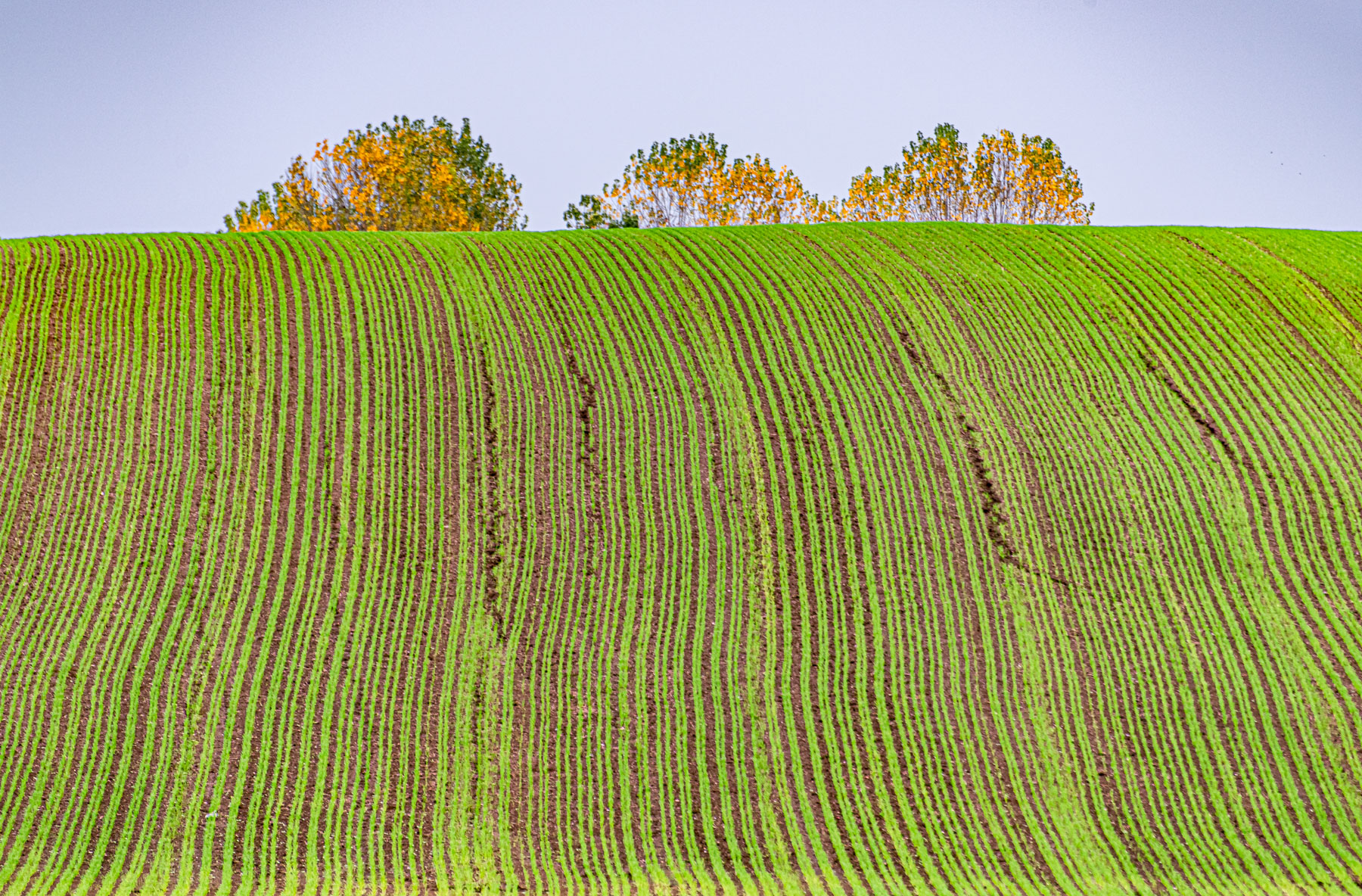 Le due facce dell'autunno