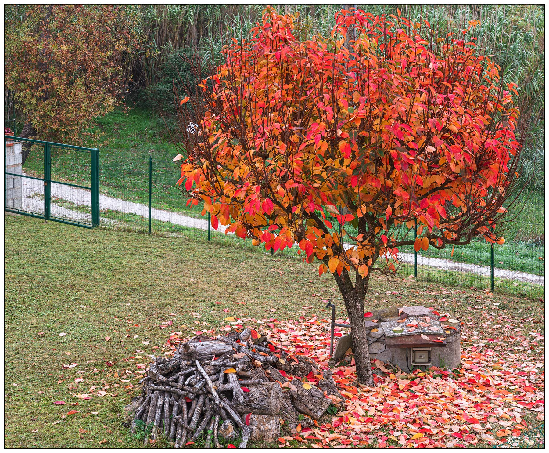 Solitario rinchiuso..