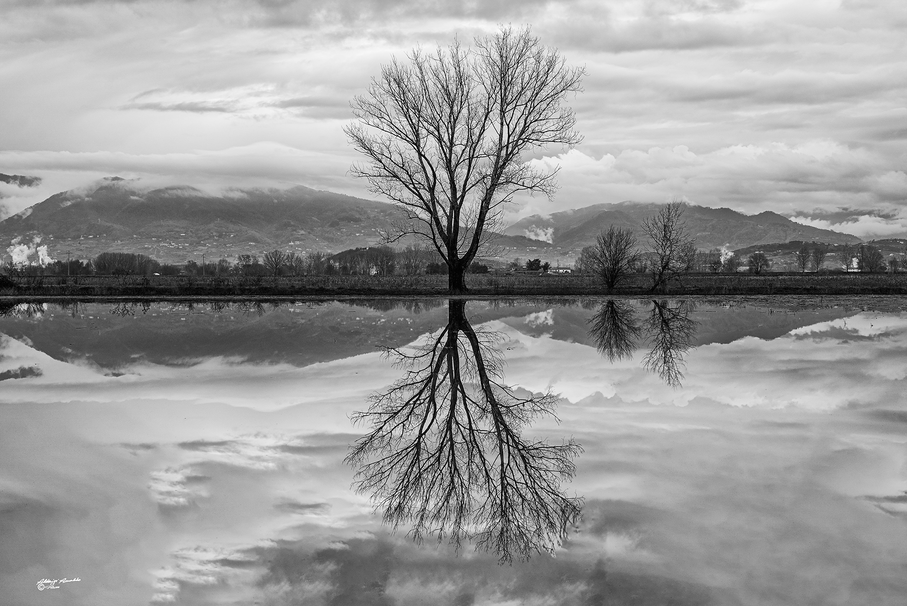 Riflessi al Tramonto..