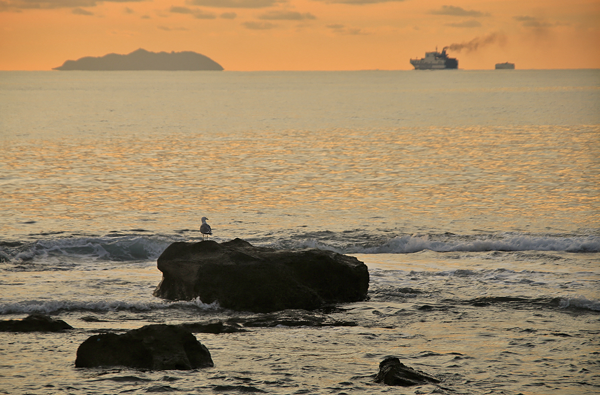 Livorno da Terrazza Mascagni