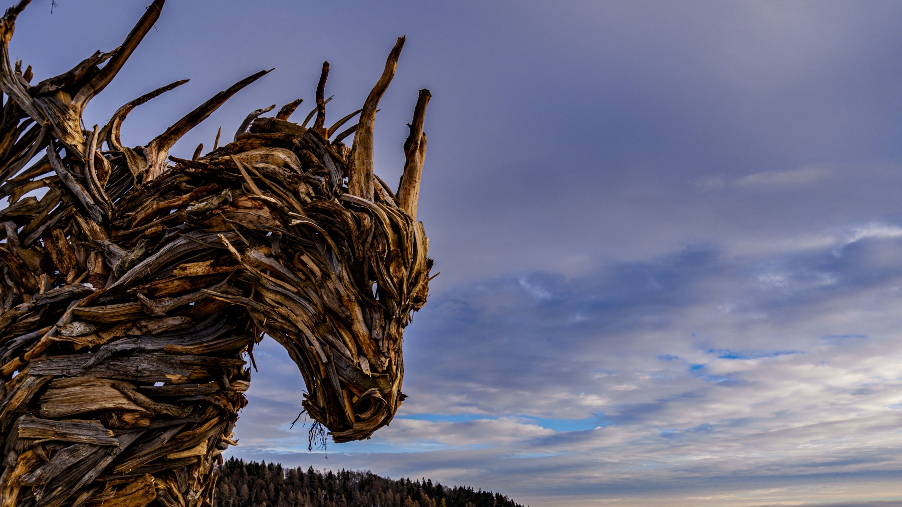 Drago Vaia, creato dai resti della foresta distrutta.