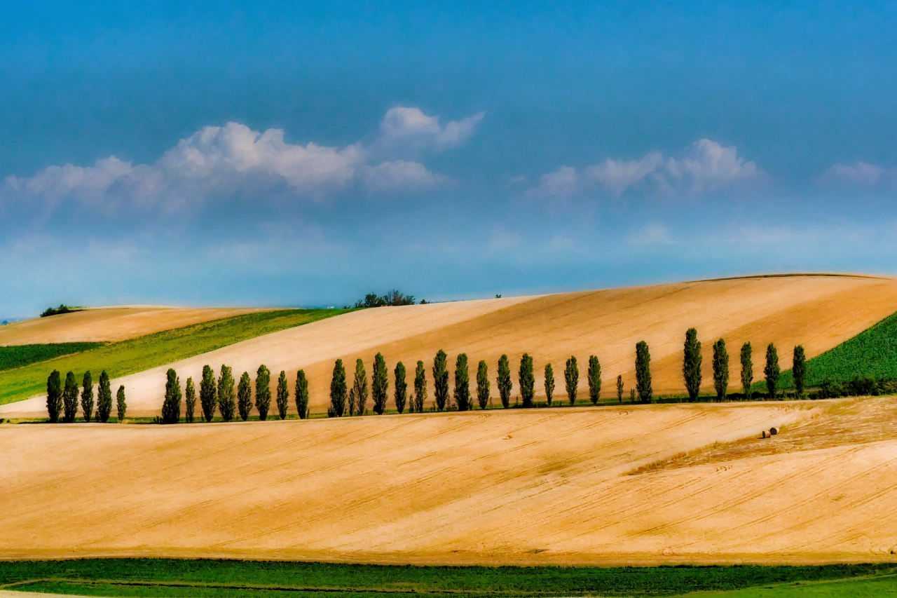 Paesaggio Monferrino(atipico)