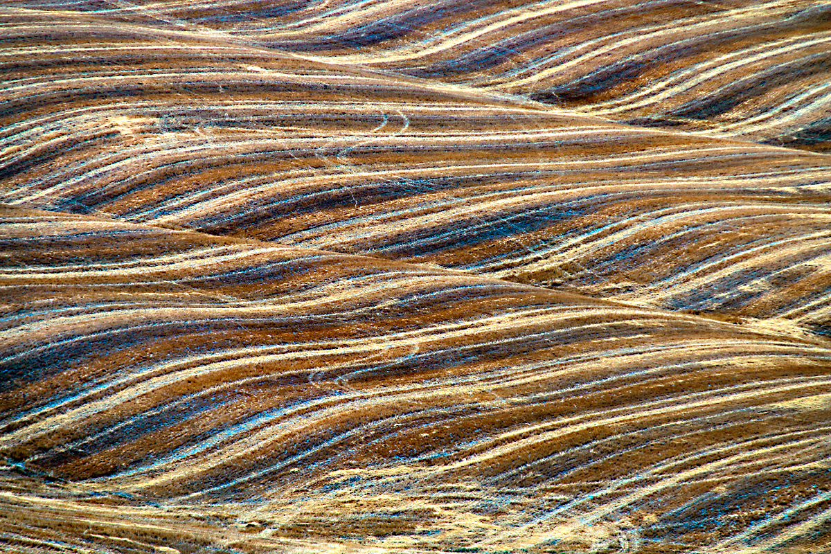 Terreni nell'Orciano Pisano