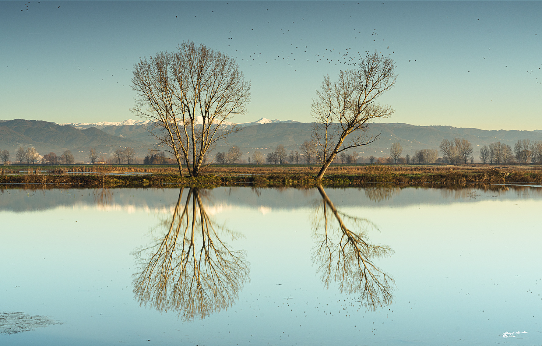 Riflessi invernali..