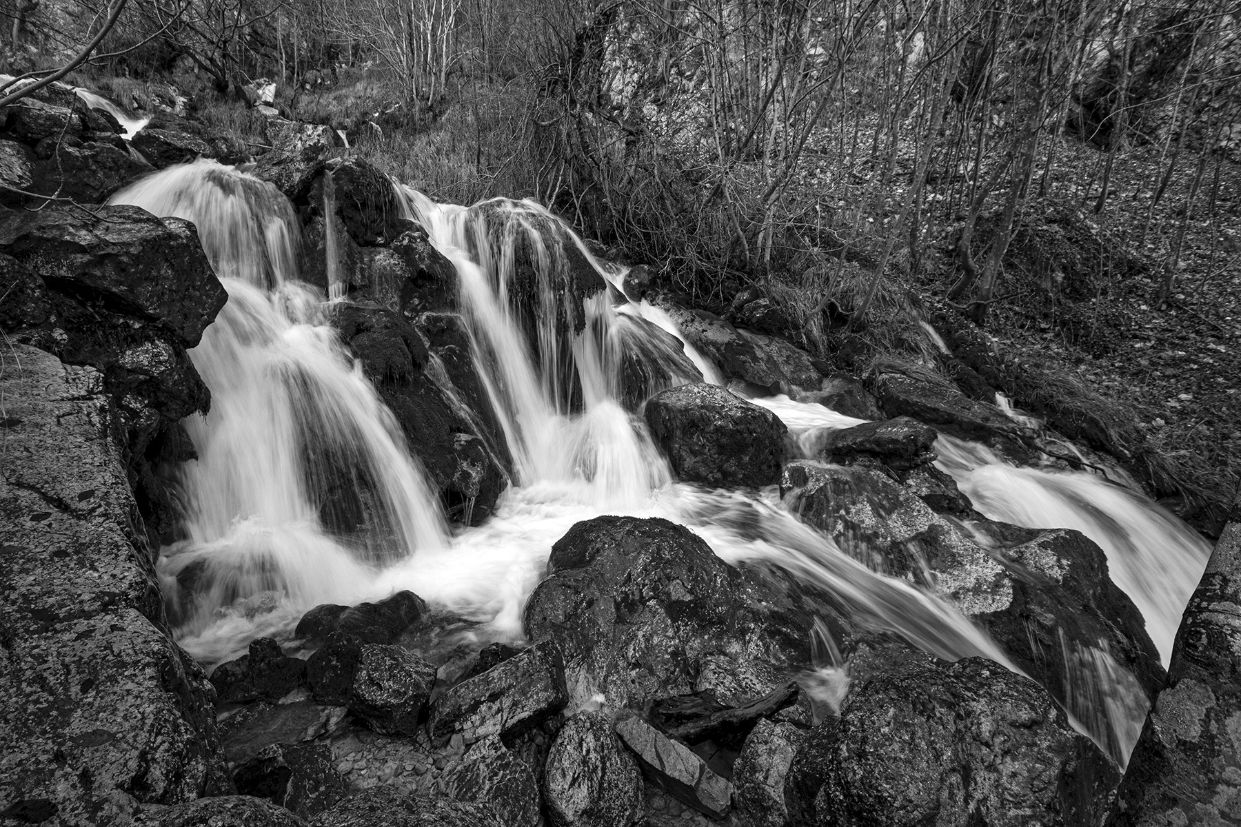 Zompo_lo_Schioppo_AQ_Gen22