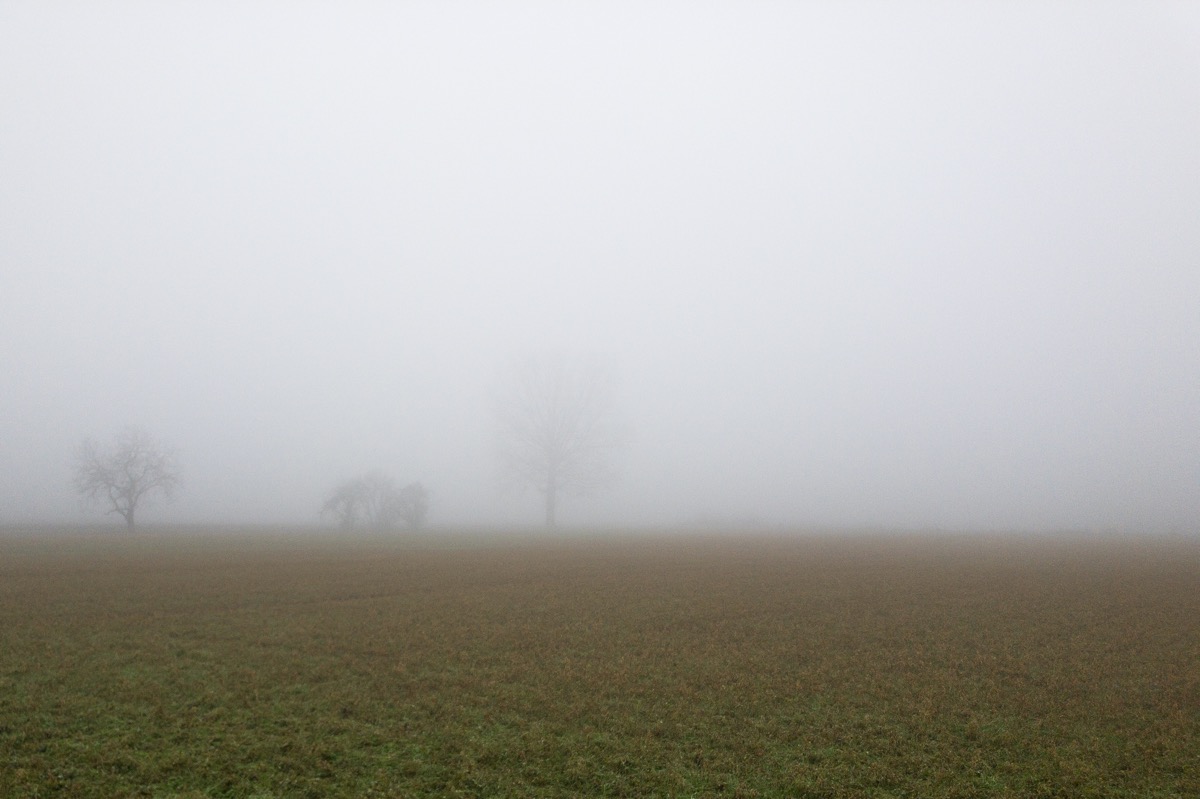 Anno nuovo, vecchia nebbia.