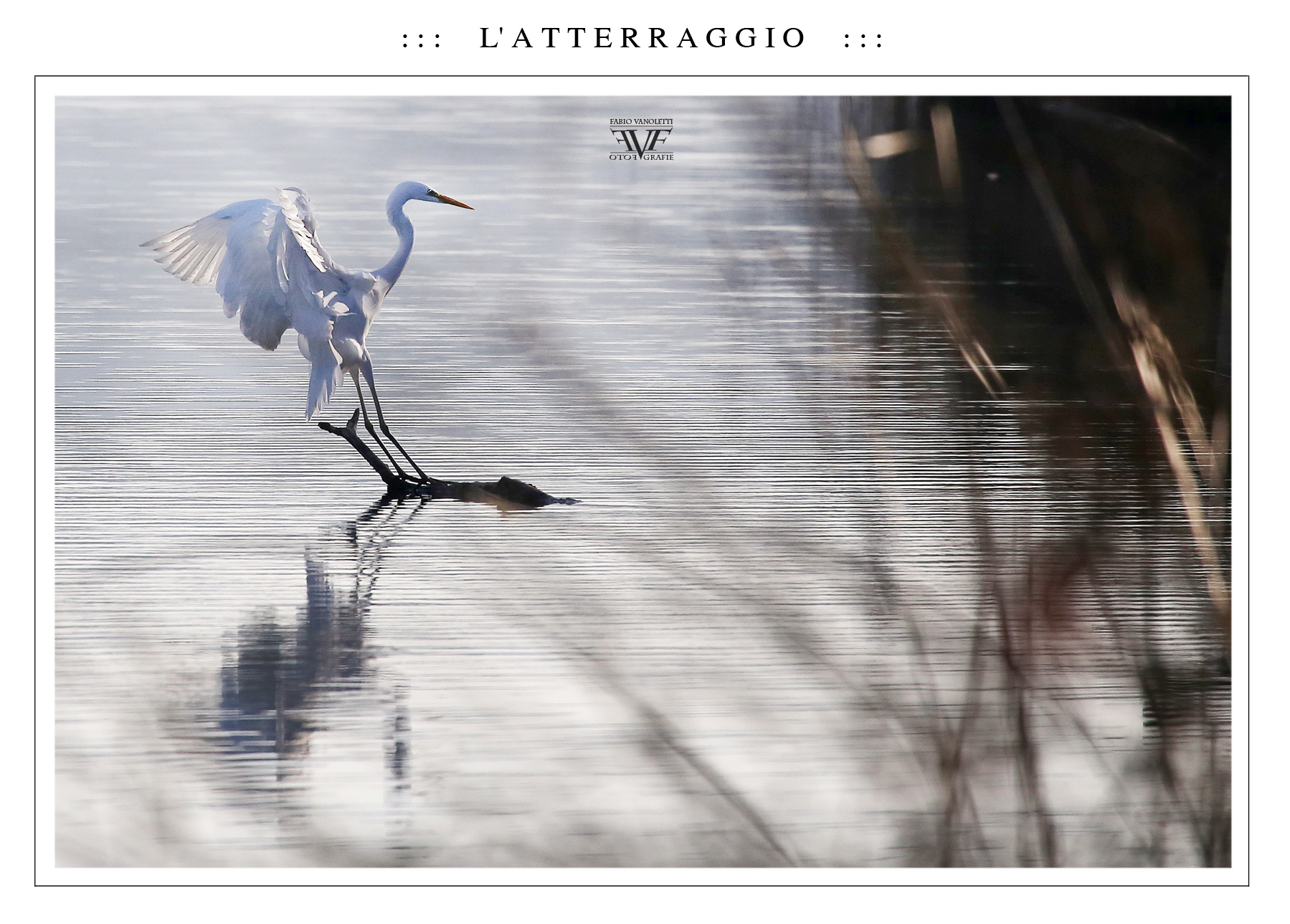 ::: L' A T T E R R A G G I O :::