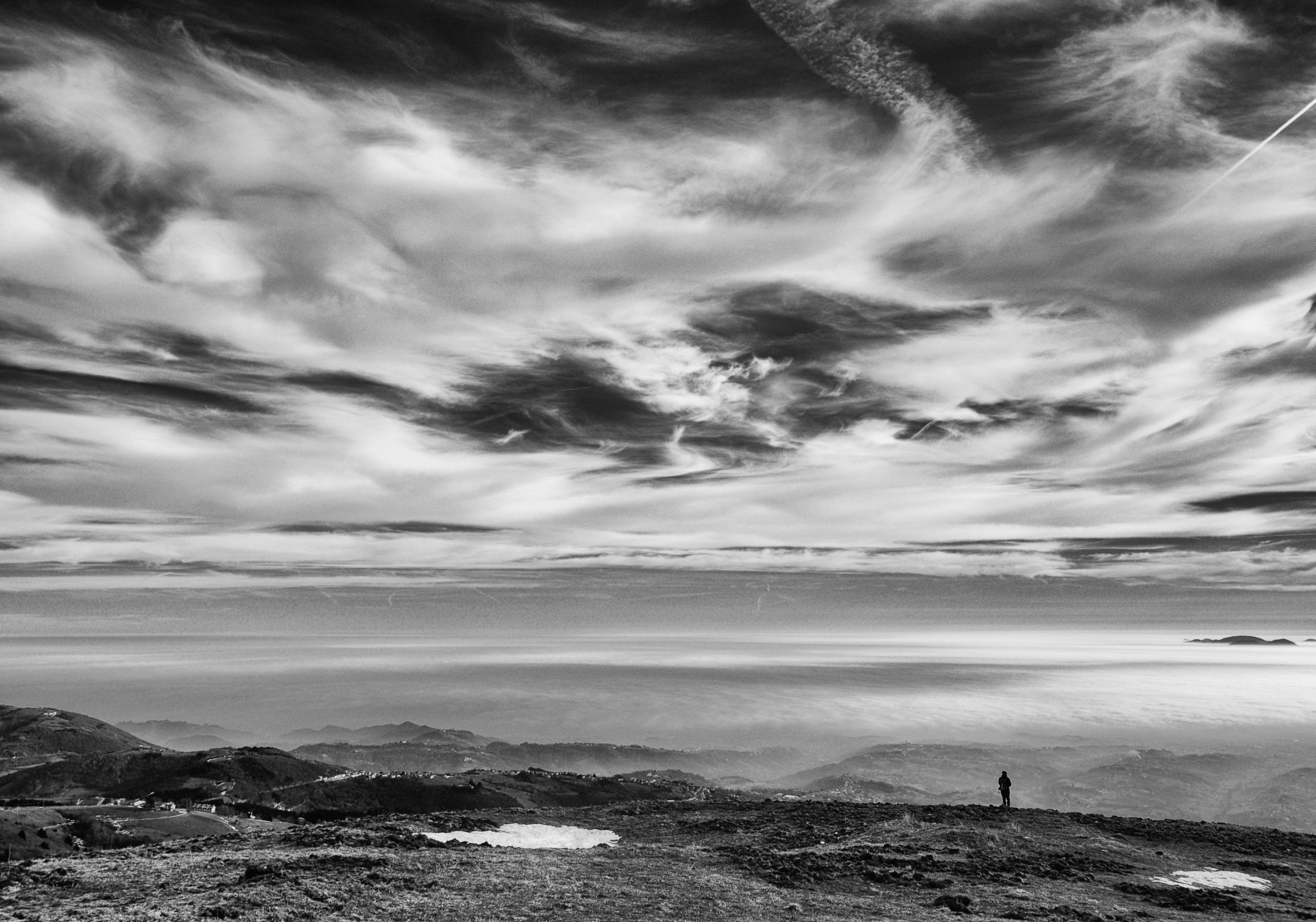 Solitario ad ammirare