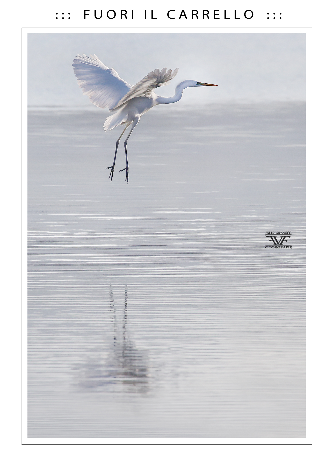 ::: F U O R I I L C A R R E L L O :::