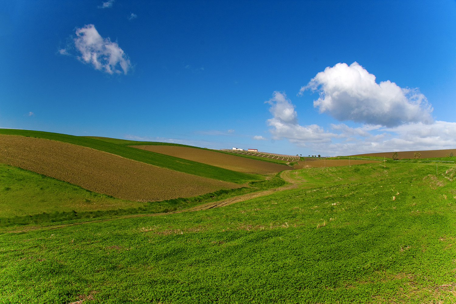 Windows XP