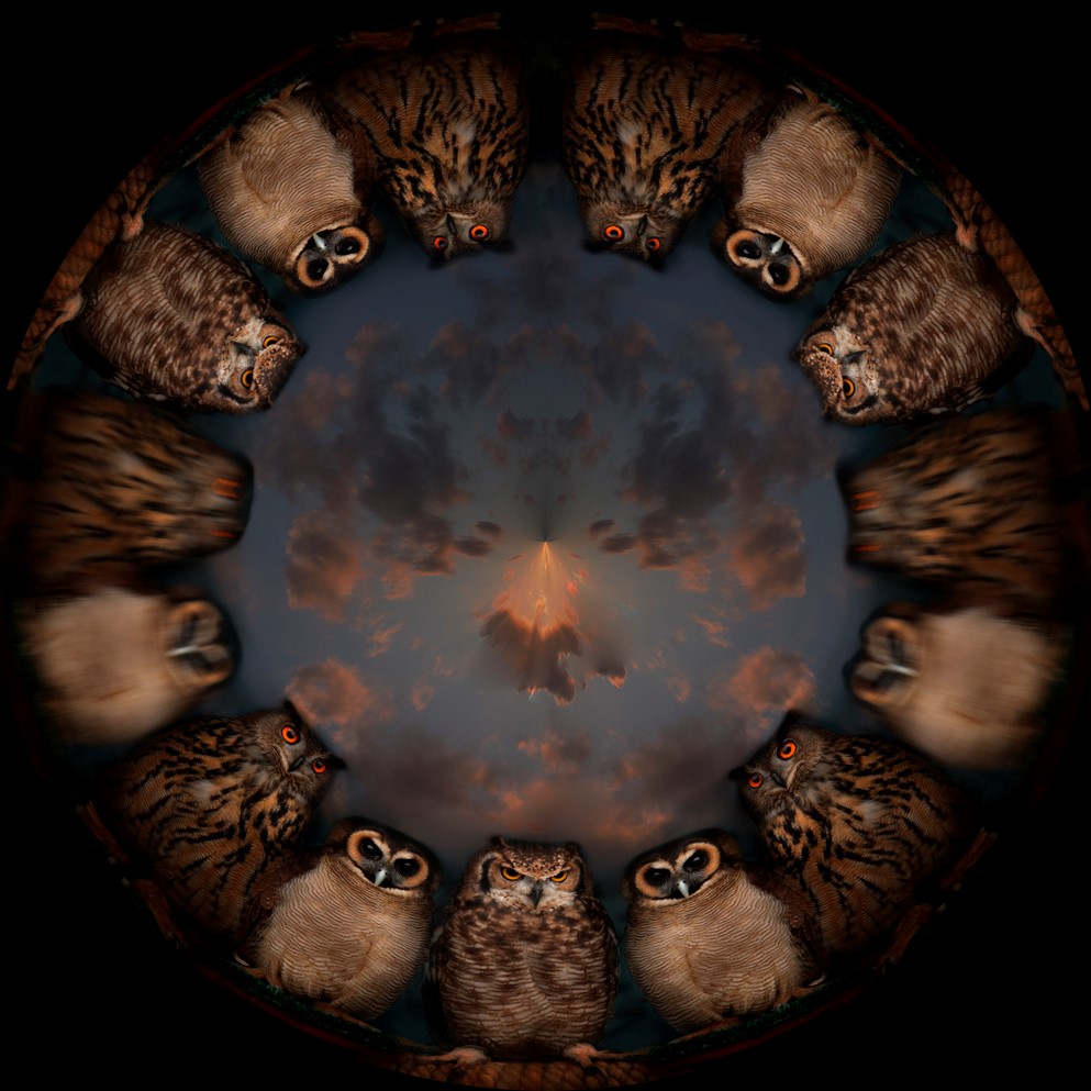 ambarab�ciccicocc�