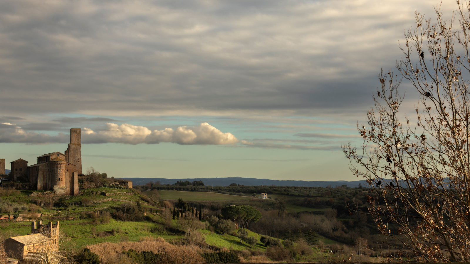 Nella terra degli Etruschi