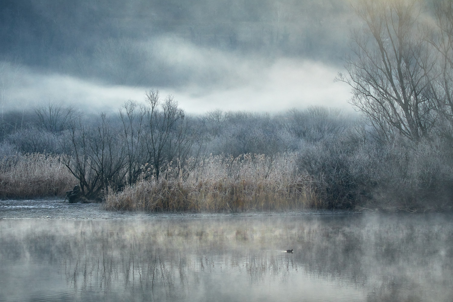 Una mattina d'inverno