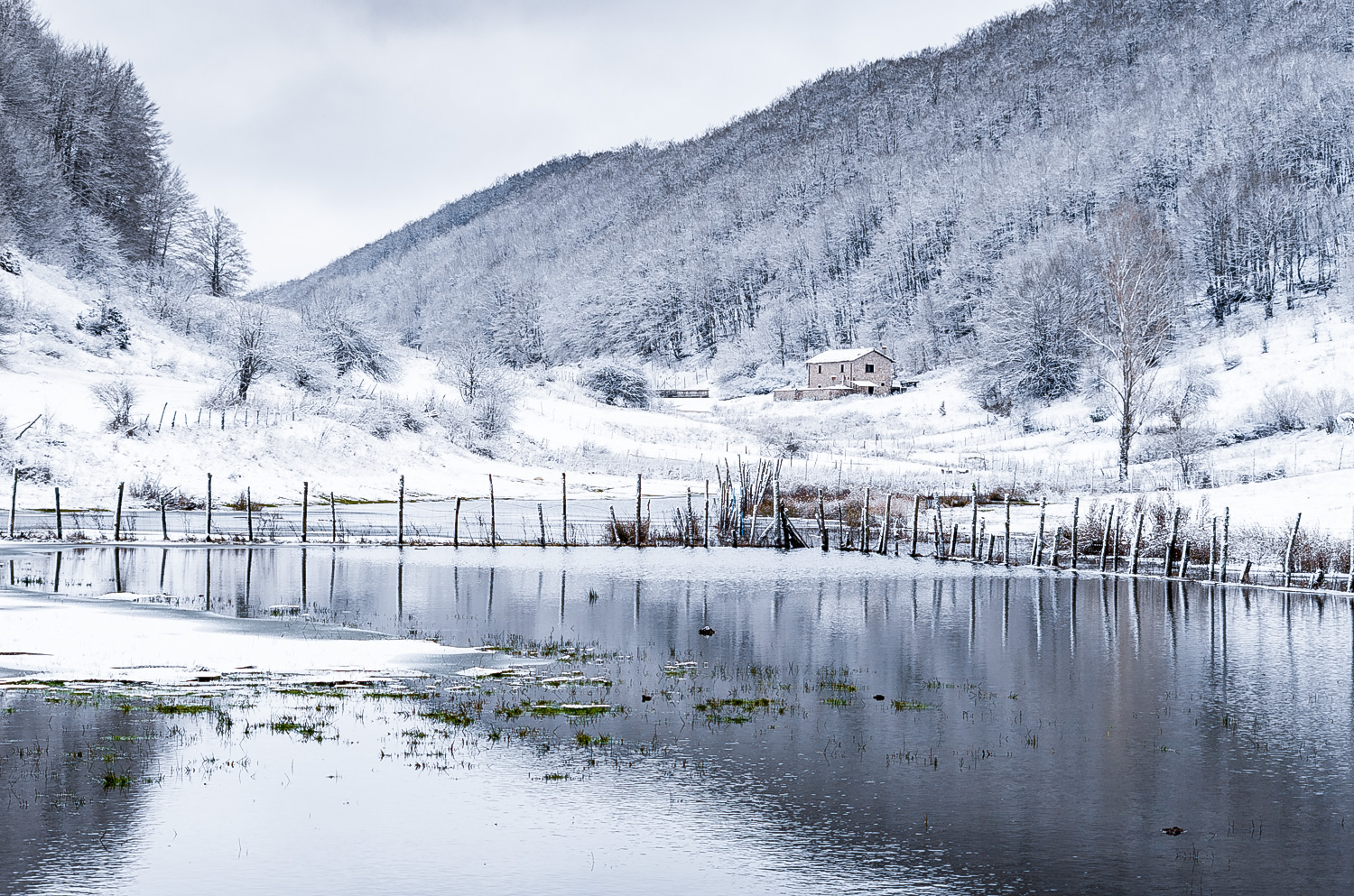 | Frozen landscapes |