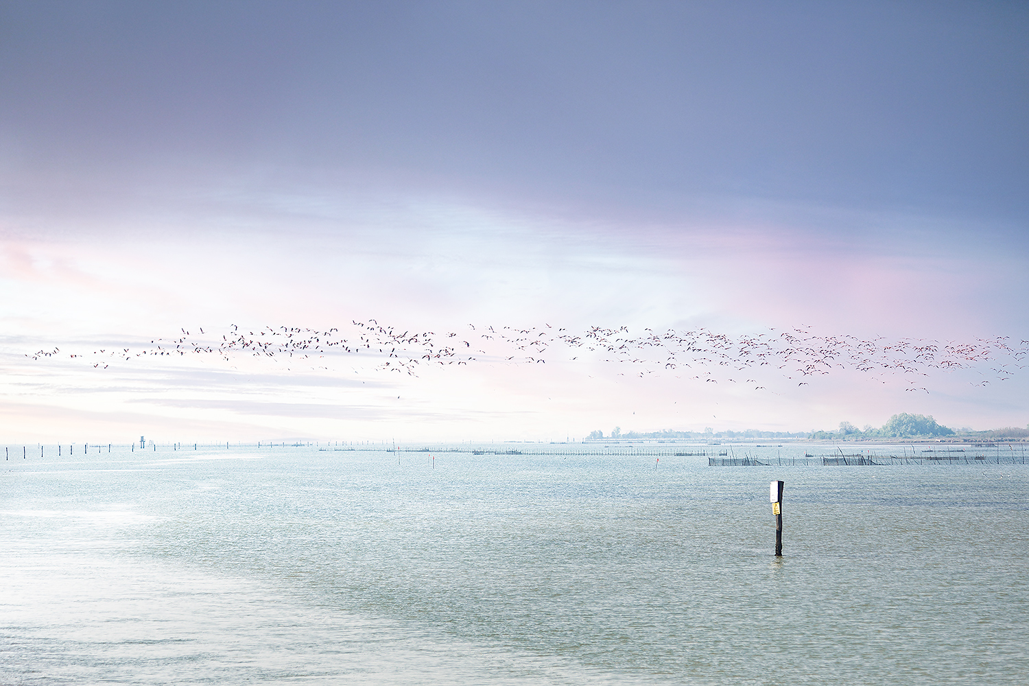 Bocca di Goro (Fe) #3