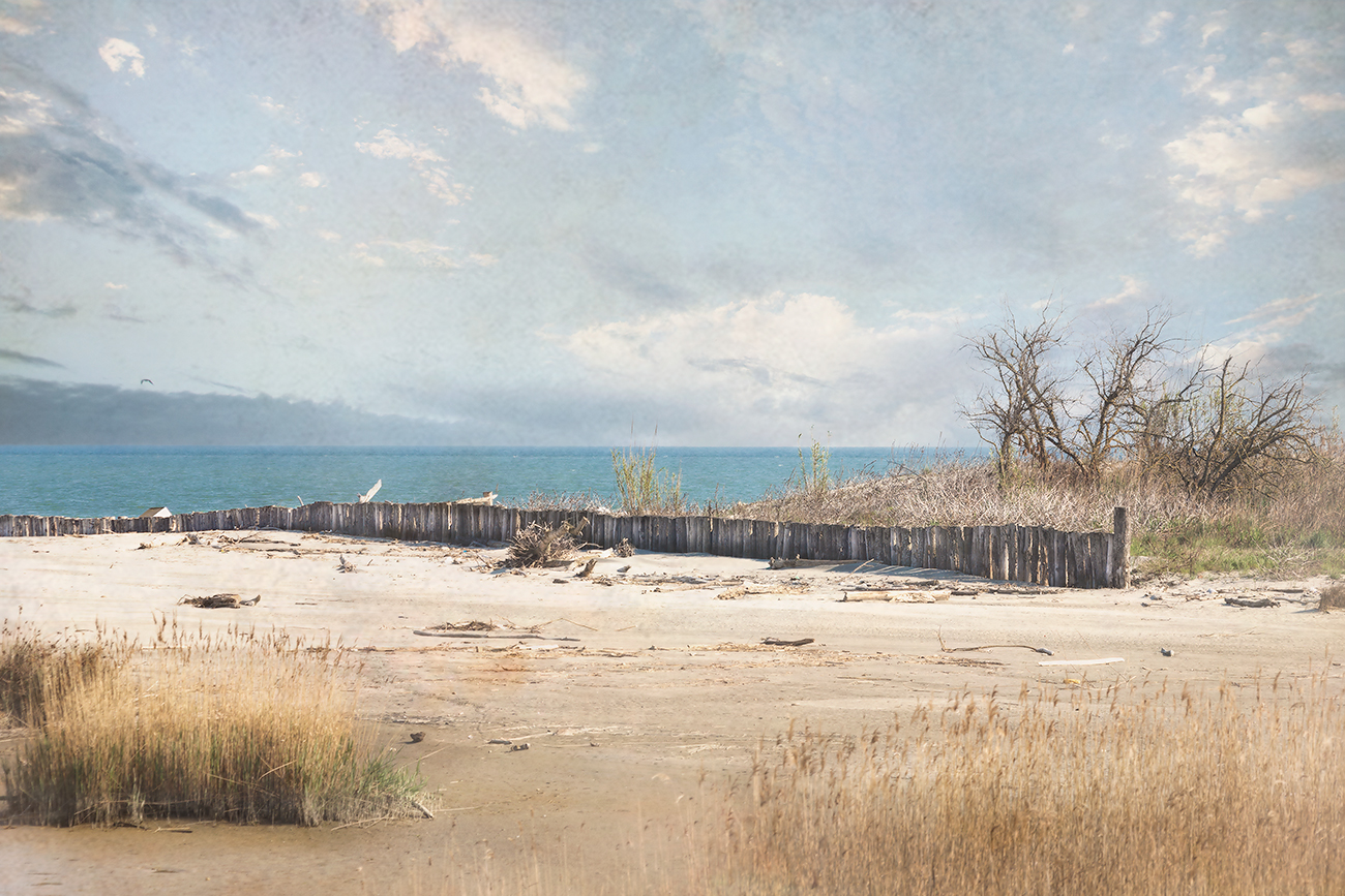 Bocca di Goro (Fe) #6