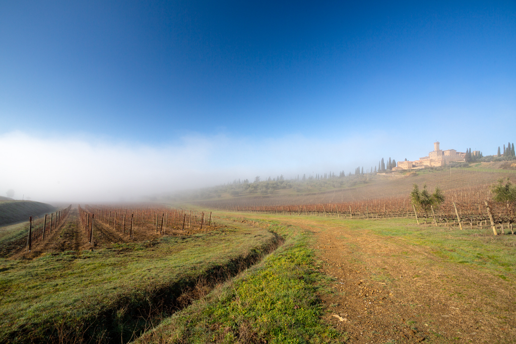 Il castello di Poggio alle Mura