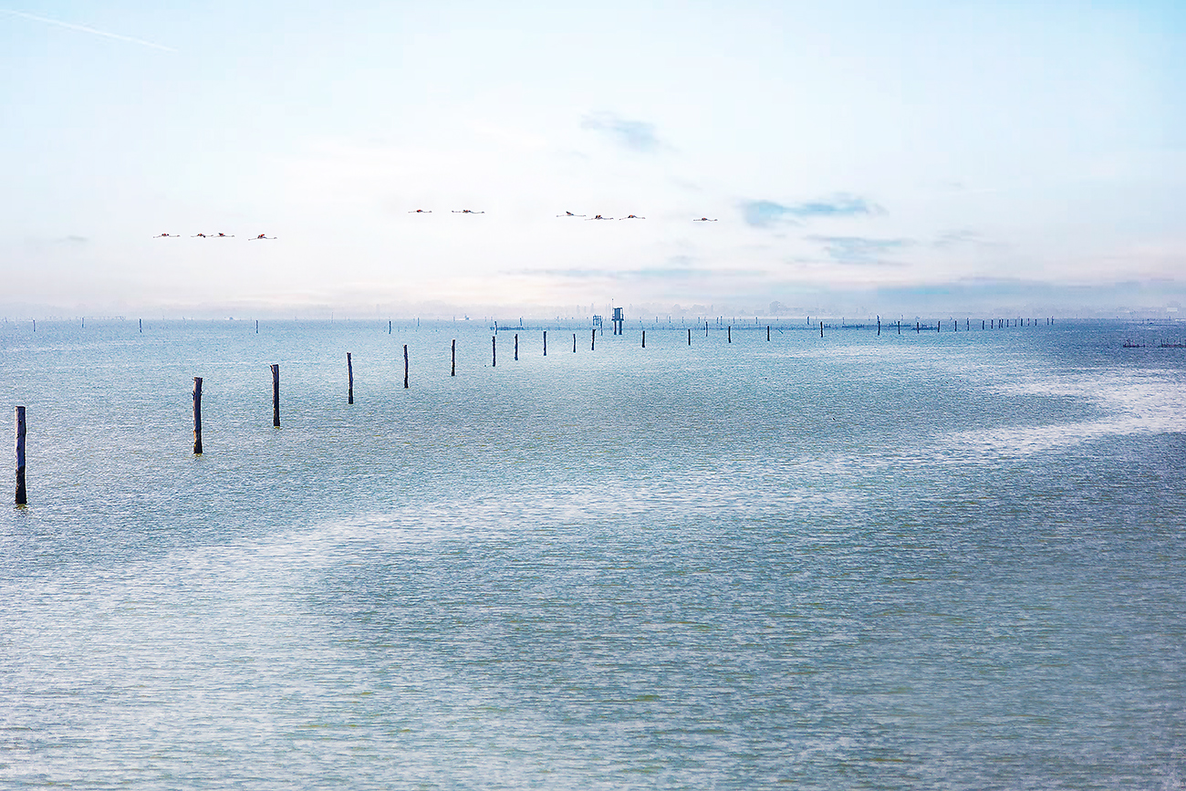 Bocca di Goro (Fe) APR 2019