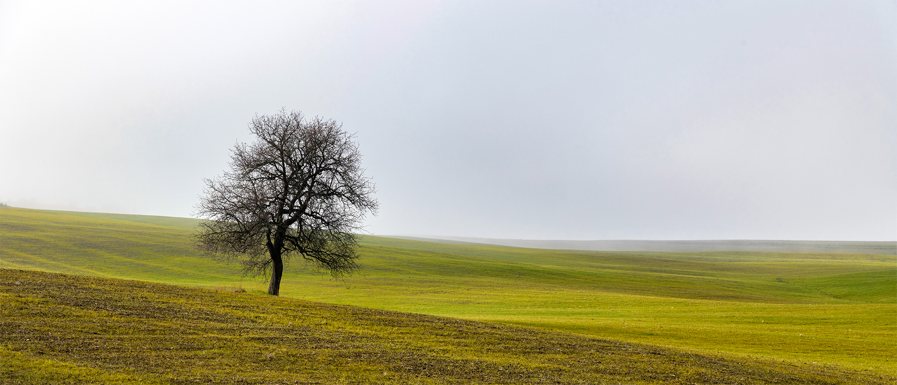 Crete senesi