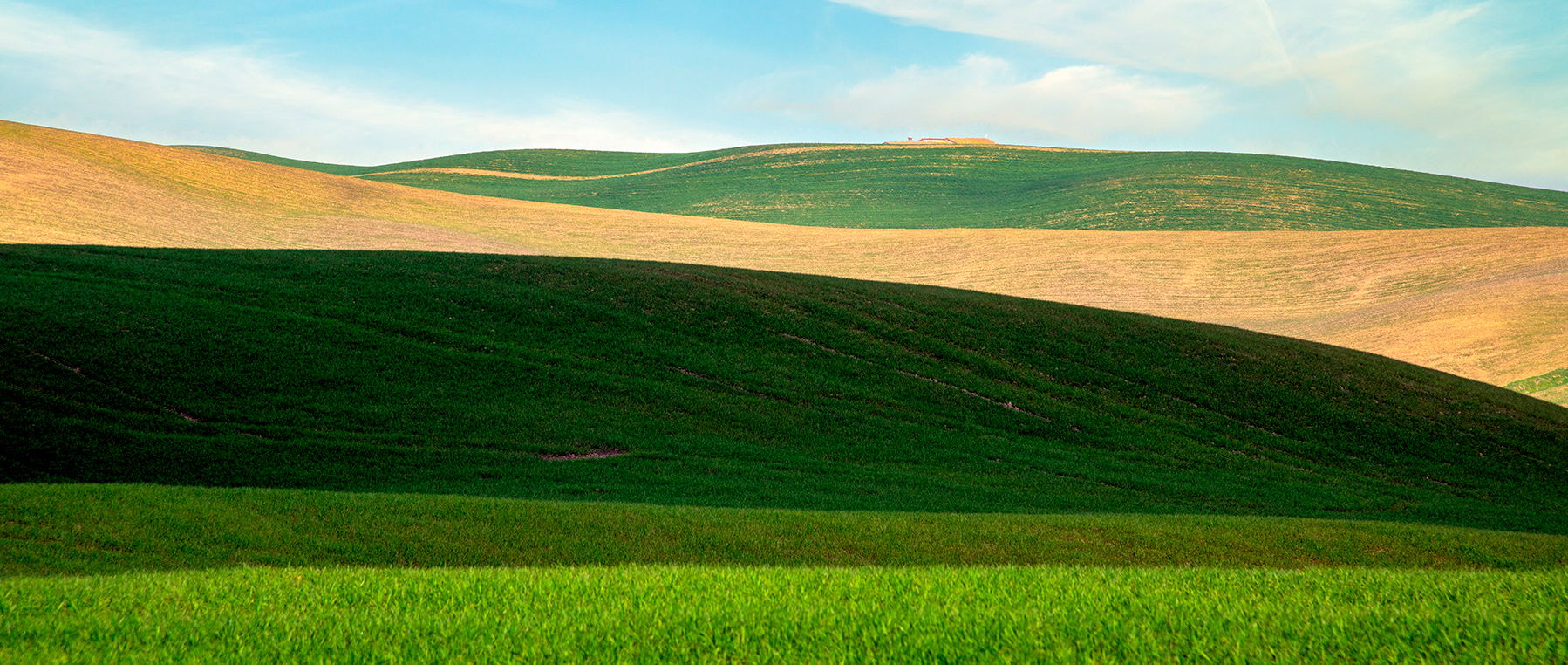 Crete senesi