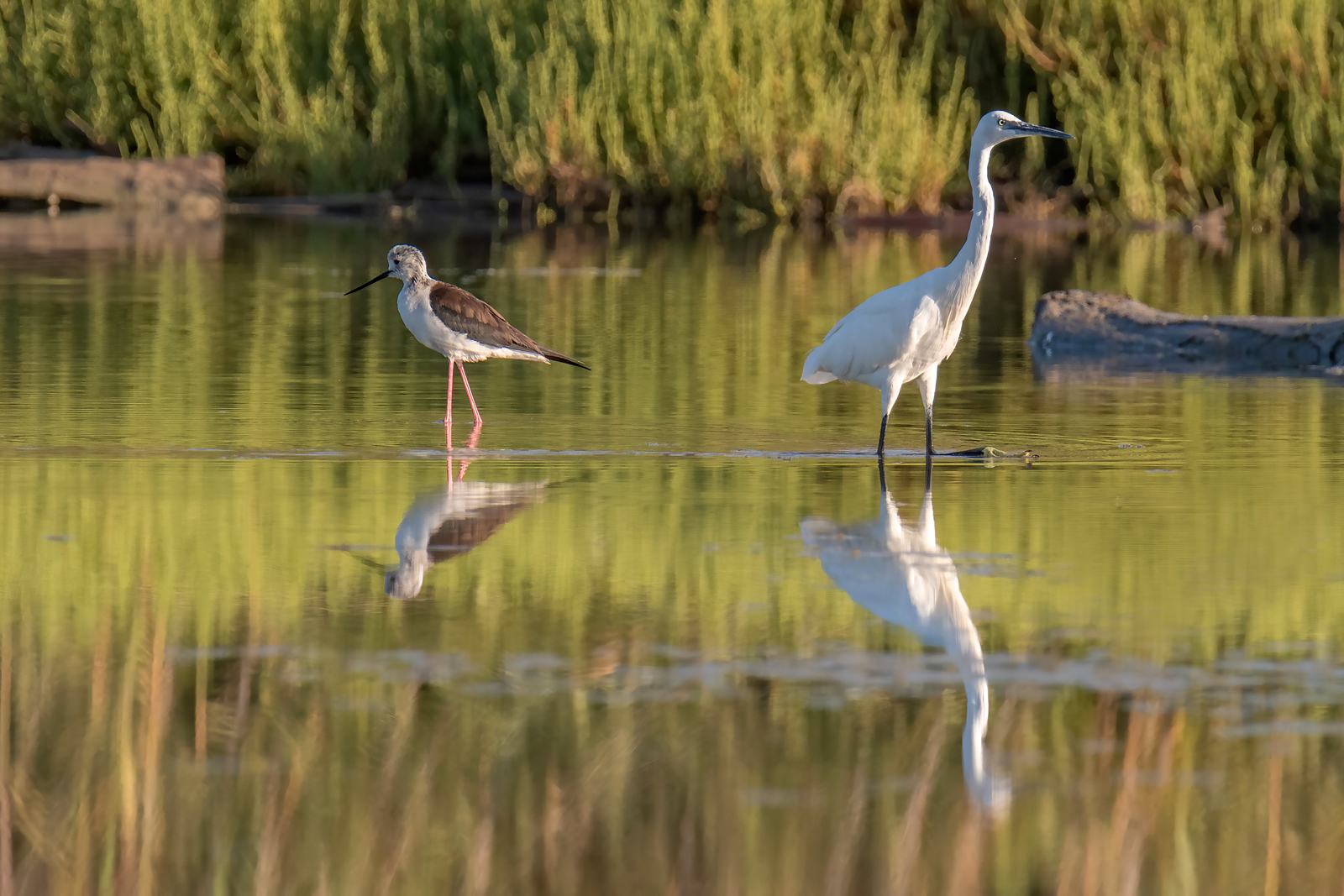 Separazione consensuale