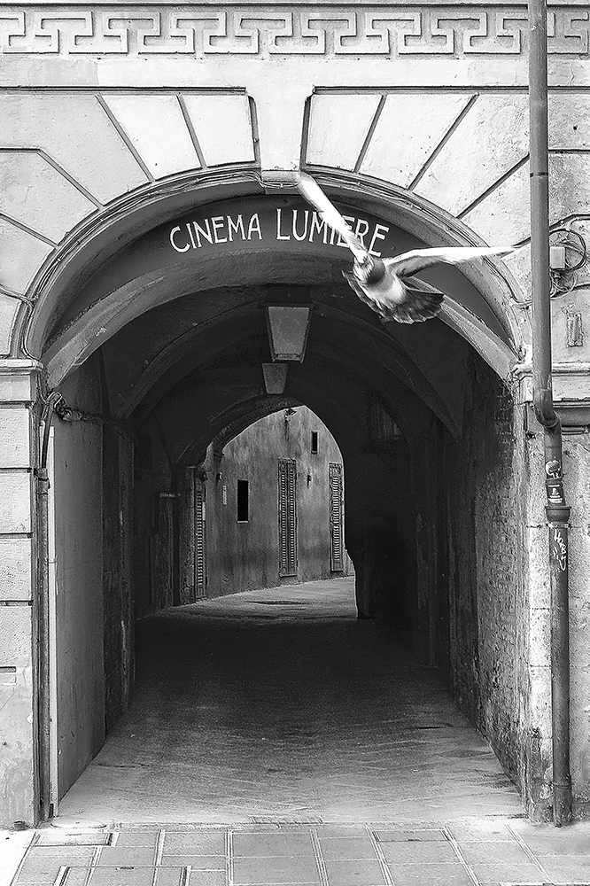 Cinema Lumi�re