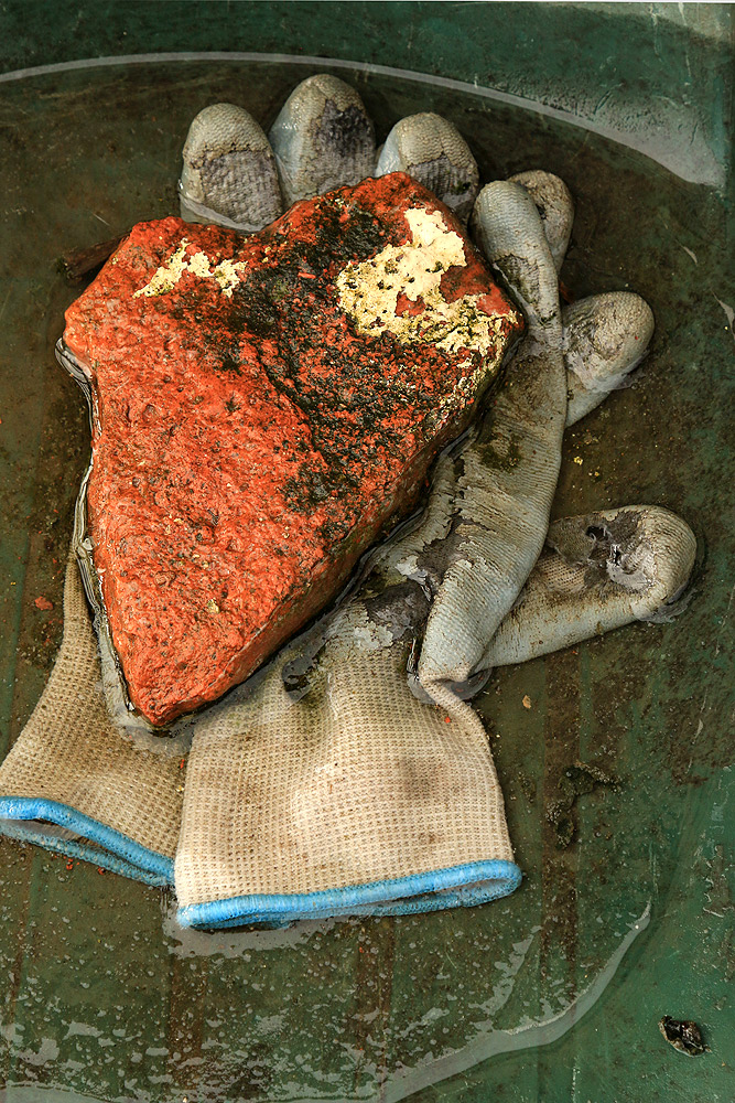 Ti tengo il cuore fra le mani