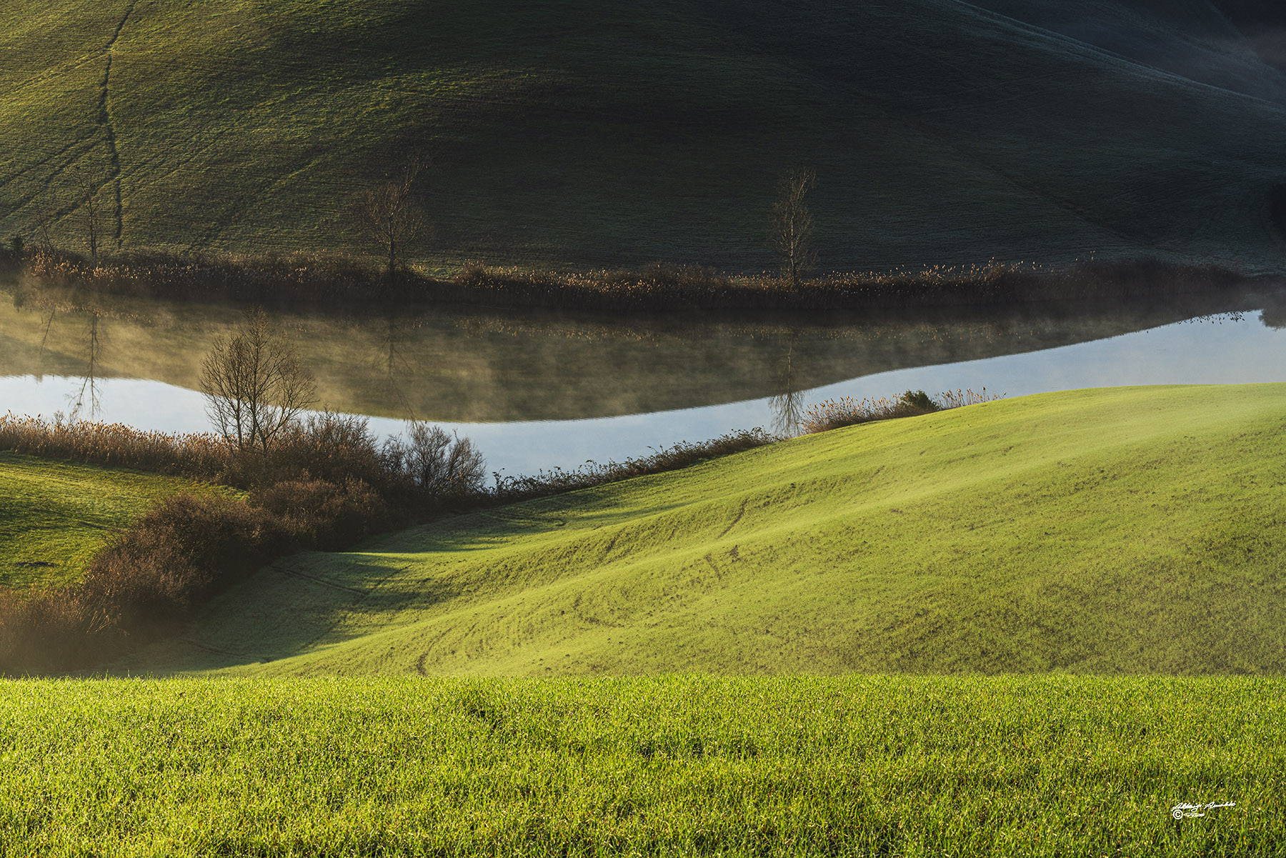 Luci.Riflessi.Ombre..
