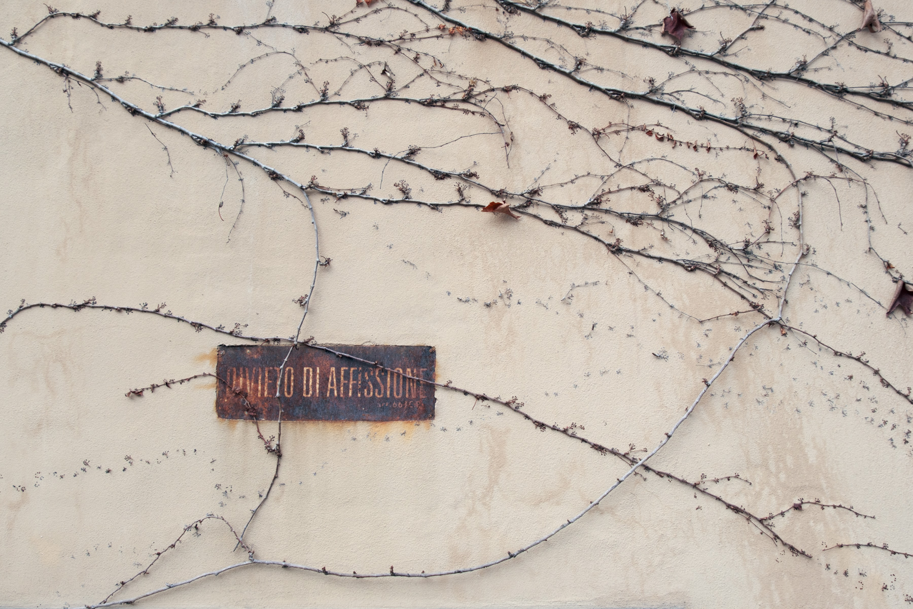 Il trasgressore