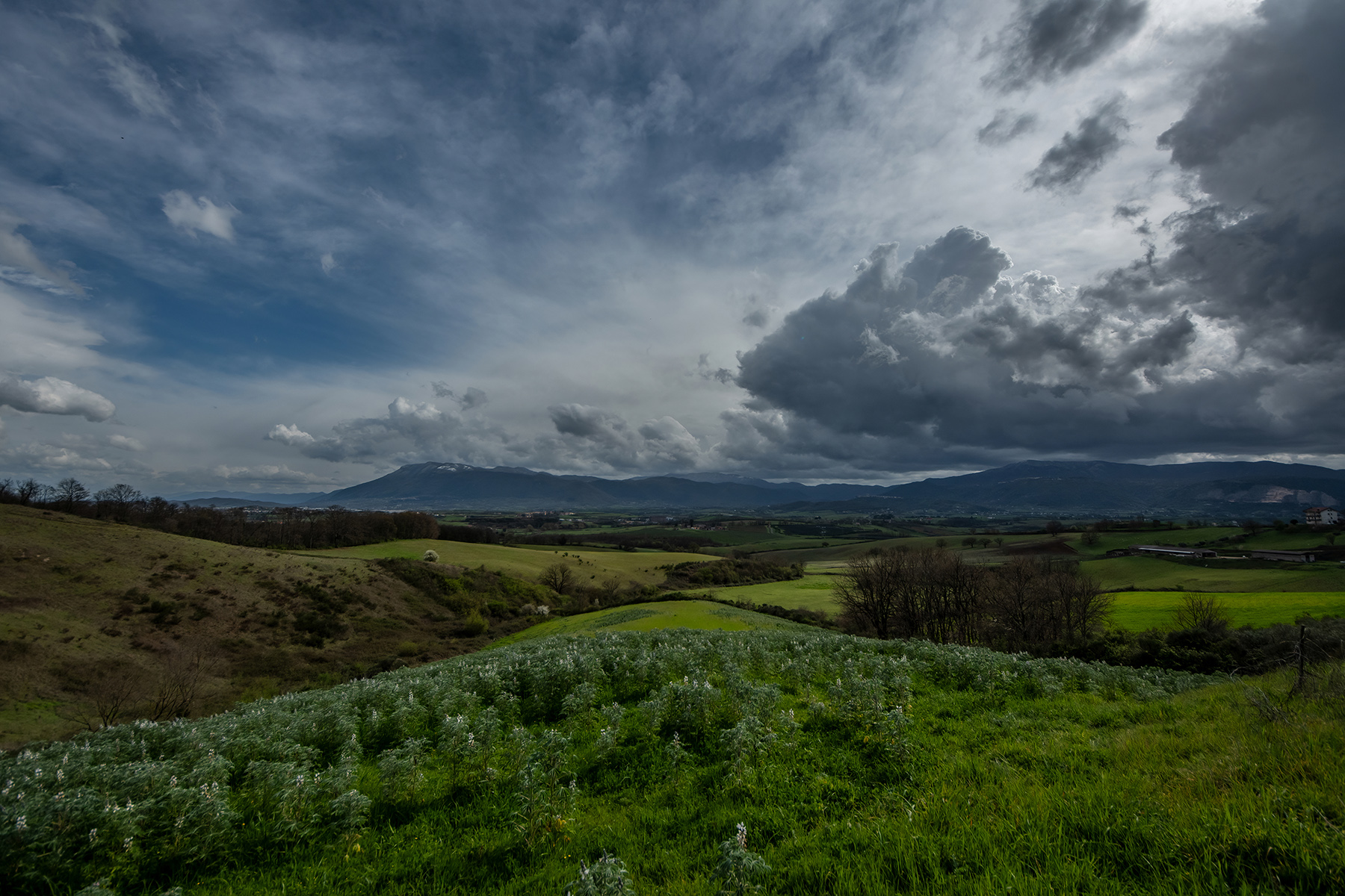 CampagnaRomana_Apr2022_2