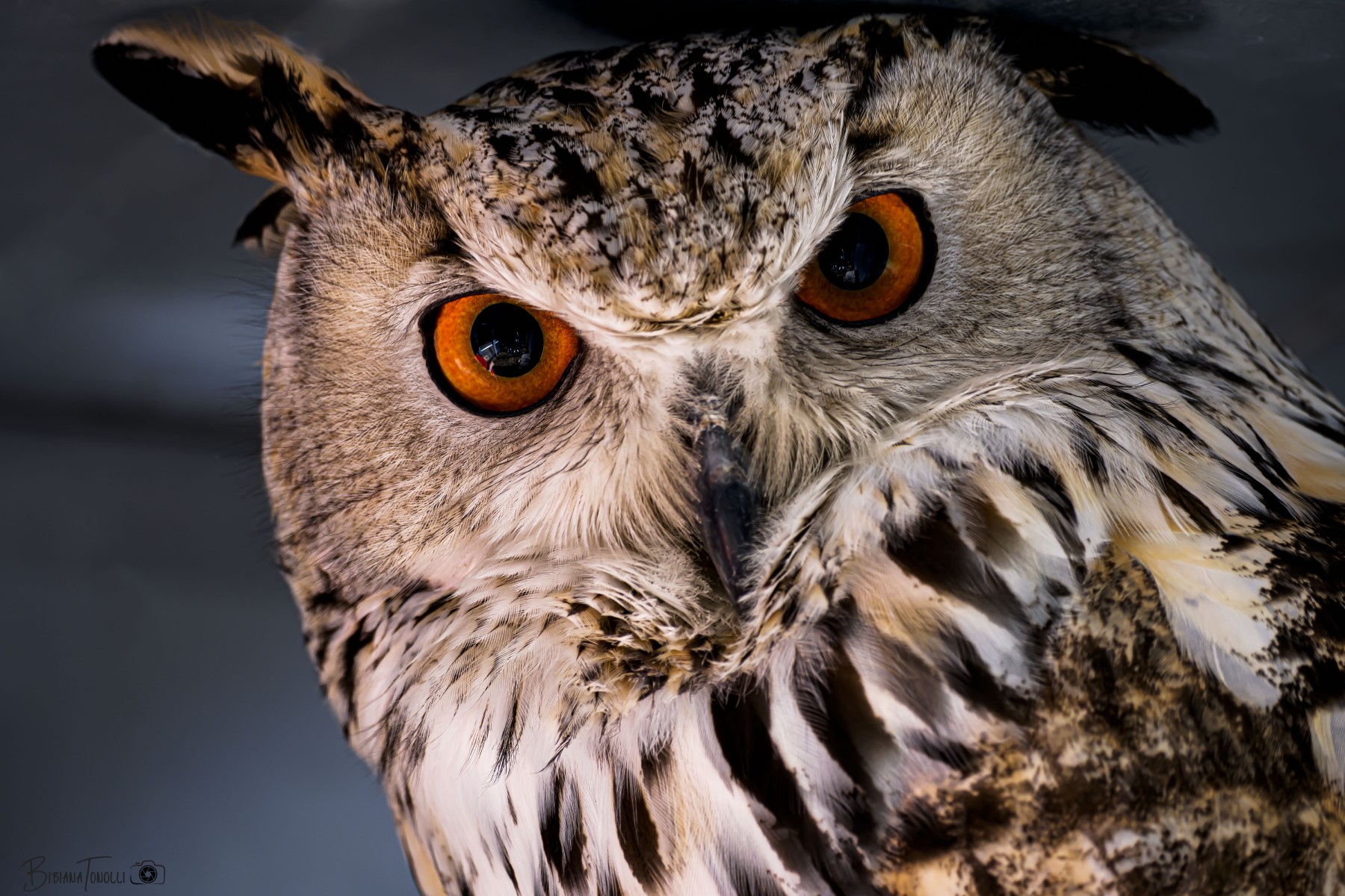 Questione di sguardi.