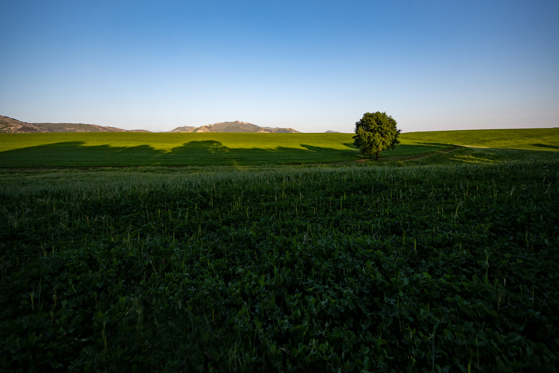 Giulianello_RM_Aprile2022