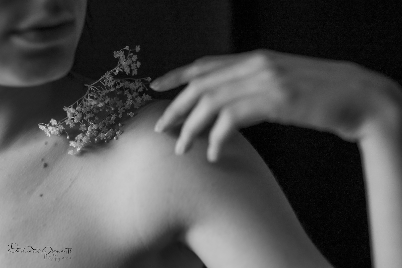 La Primavera del cuore (serie in divenire)