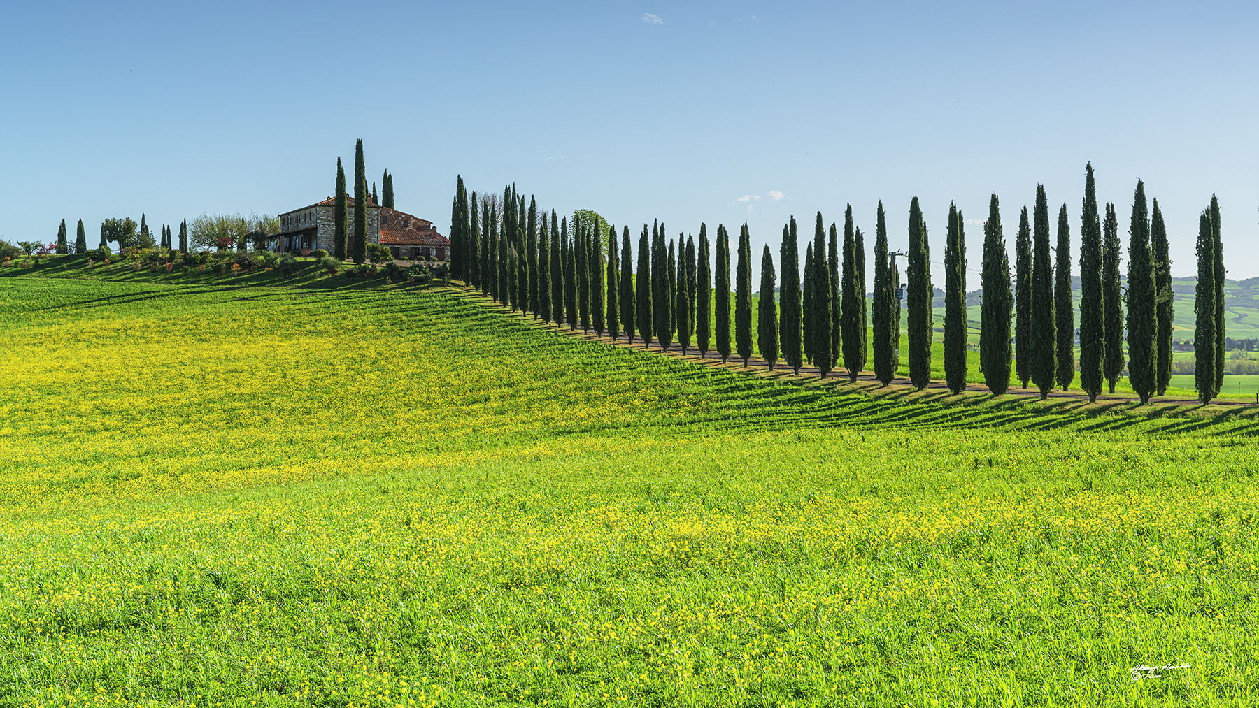 Vialetto cipressato... Sx