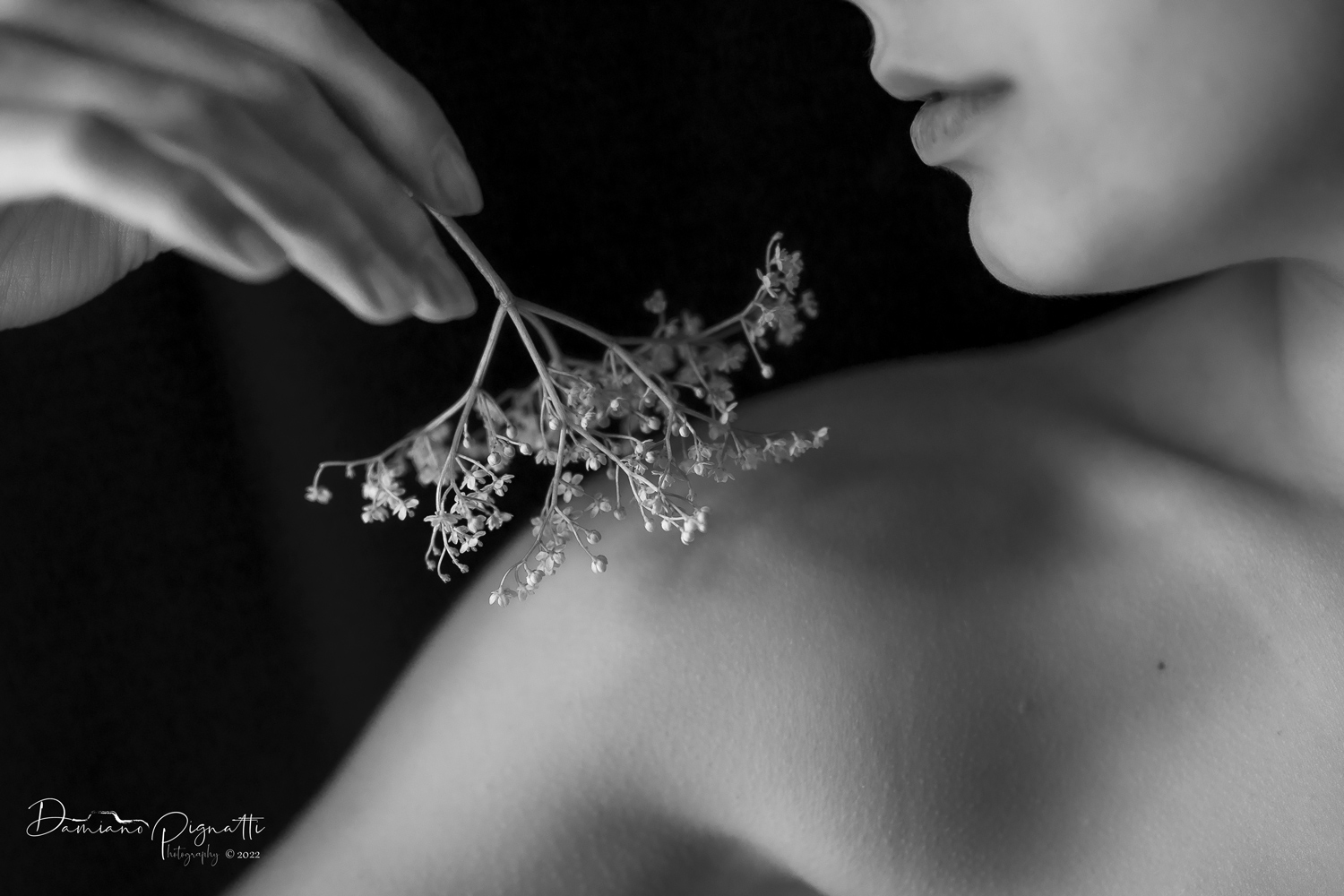 Basta con le frasi piene di spine