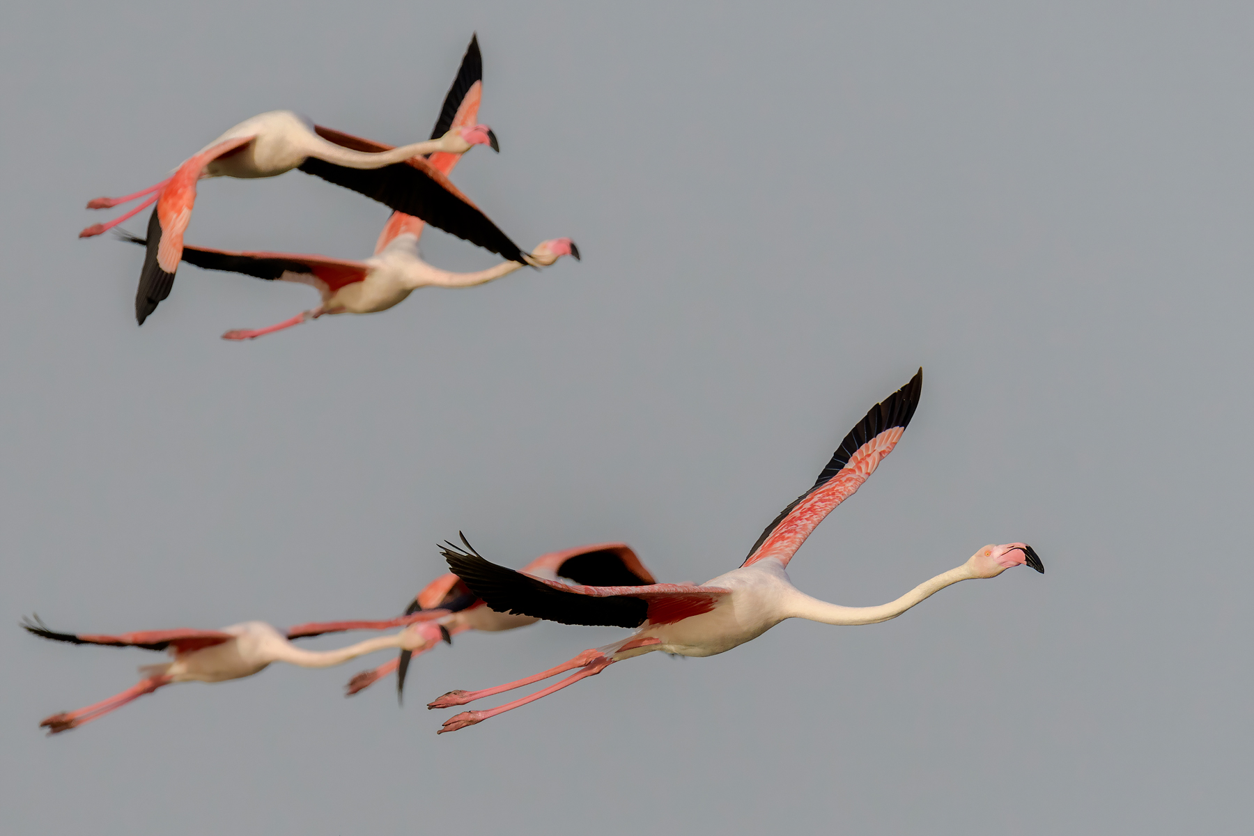 I primi oscurano sempre i secondi....