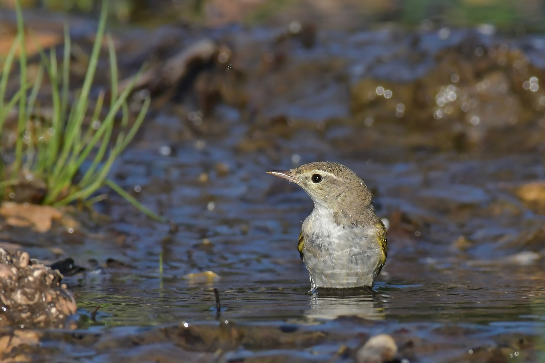 Lui bianco dall'altro lato