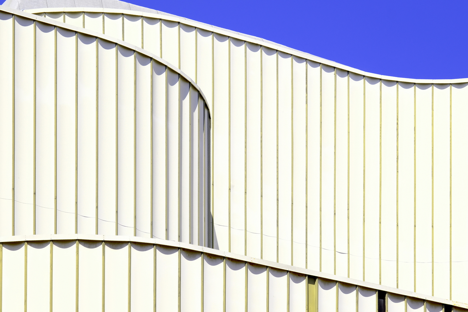 Dettaglio Brindisino