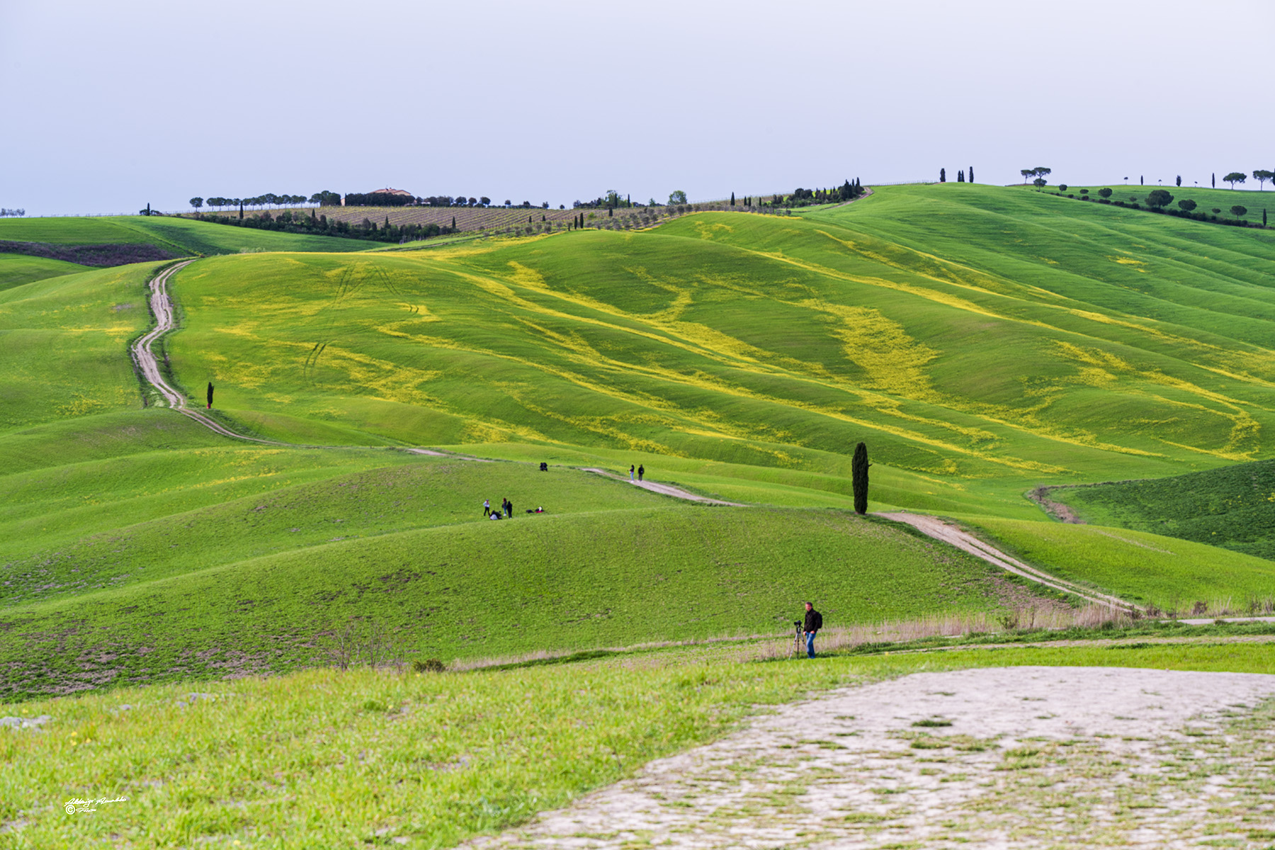 La lunga stradina di campagna.. Val d'orcia.