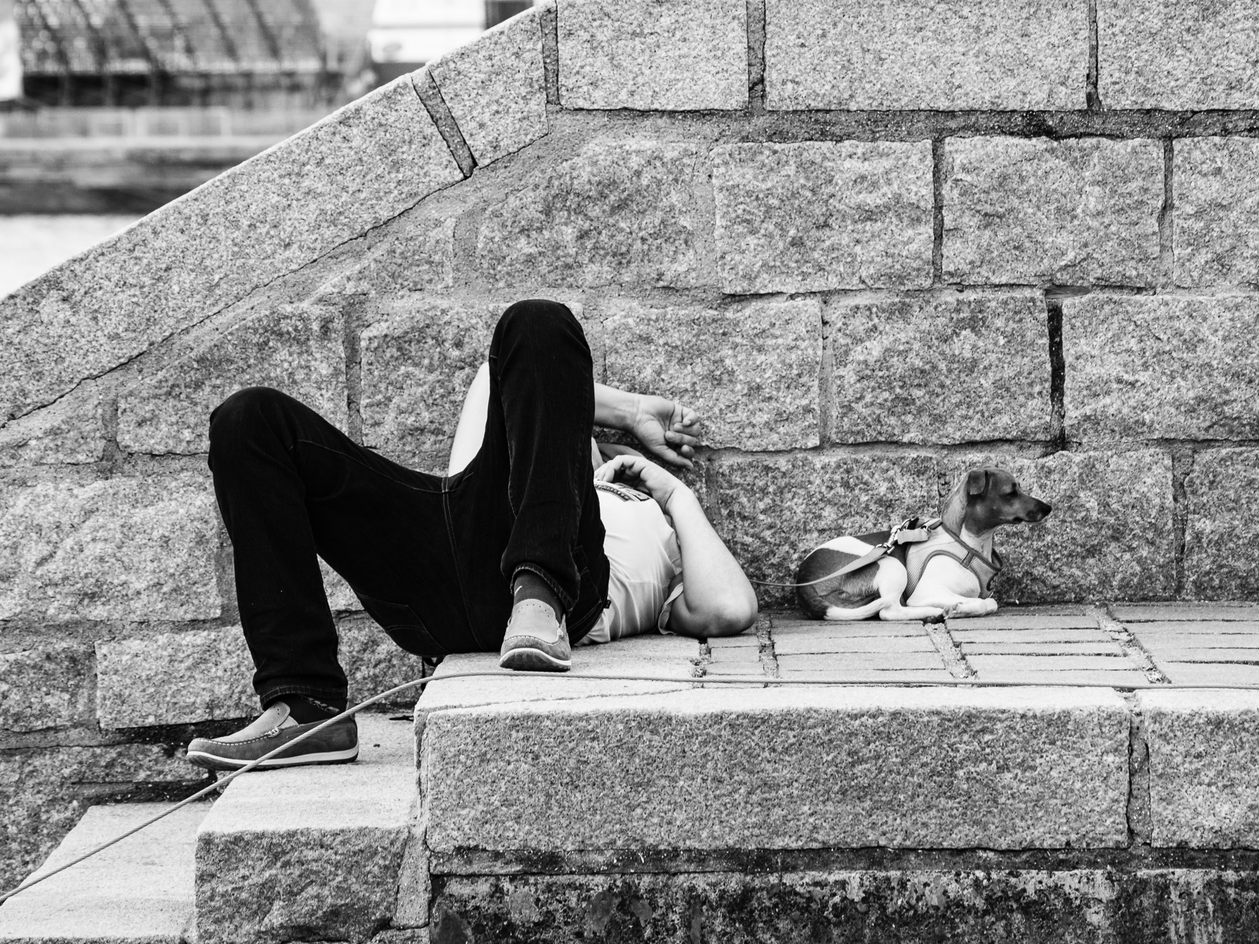 Pennichella sul molo...