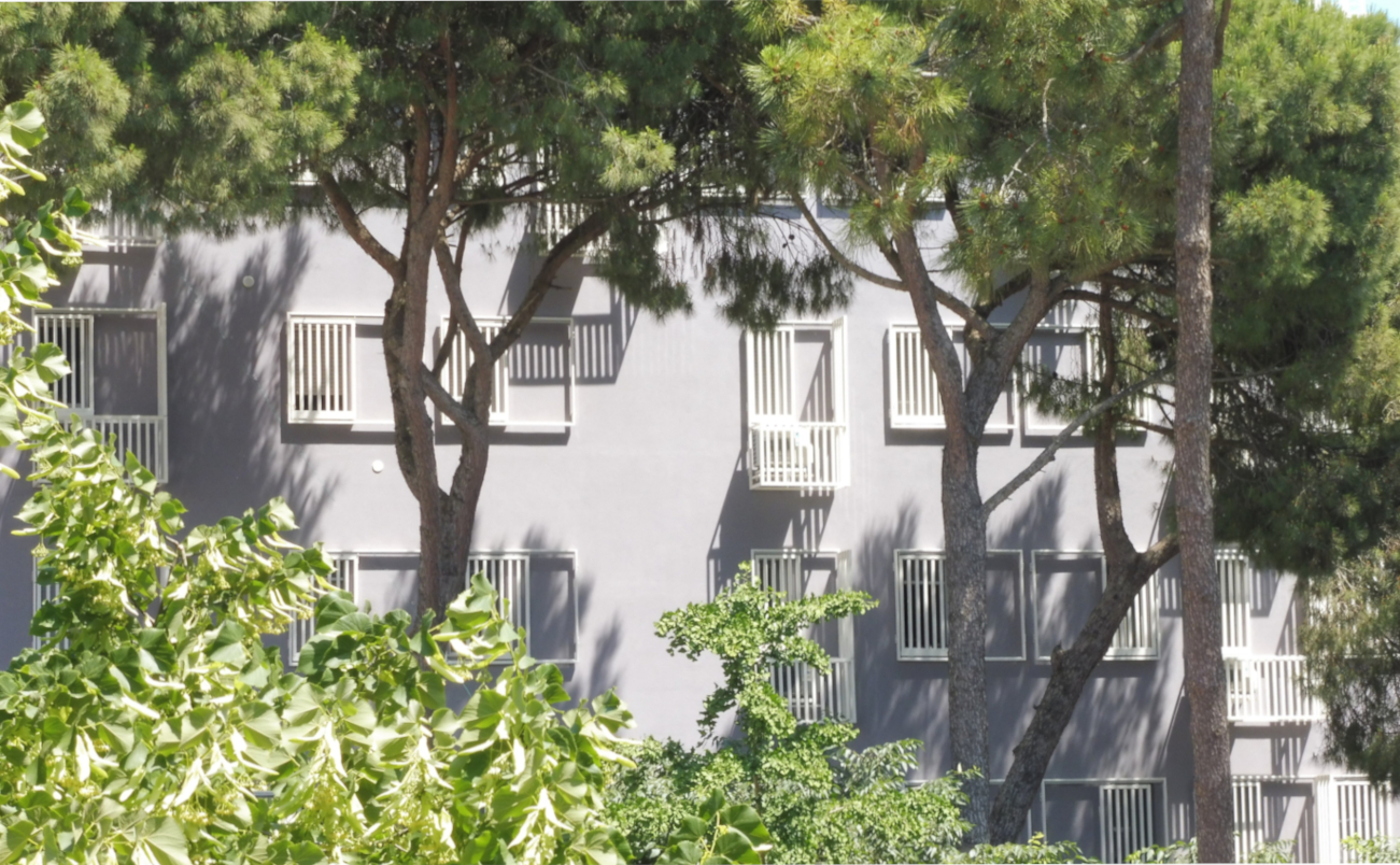 C or C ( Carcere o Condominio )