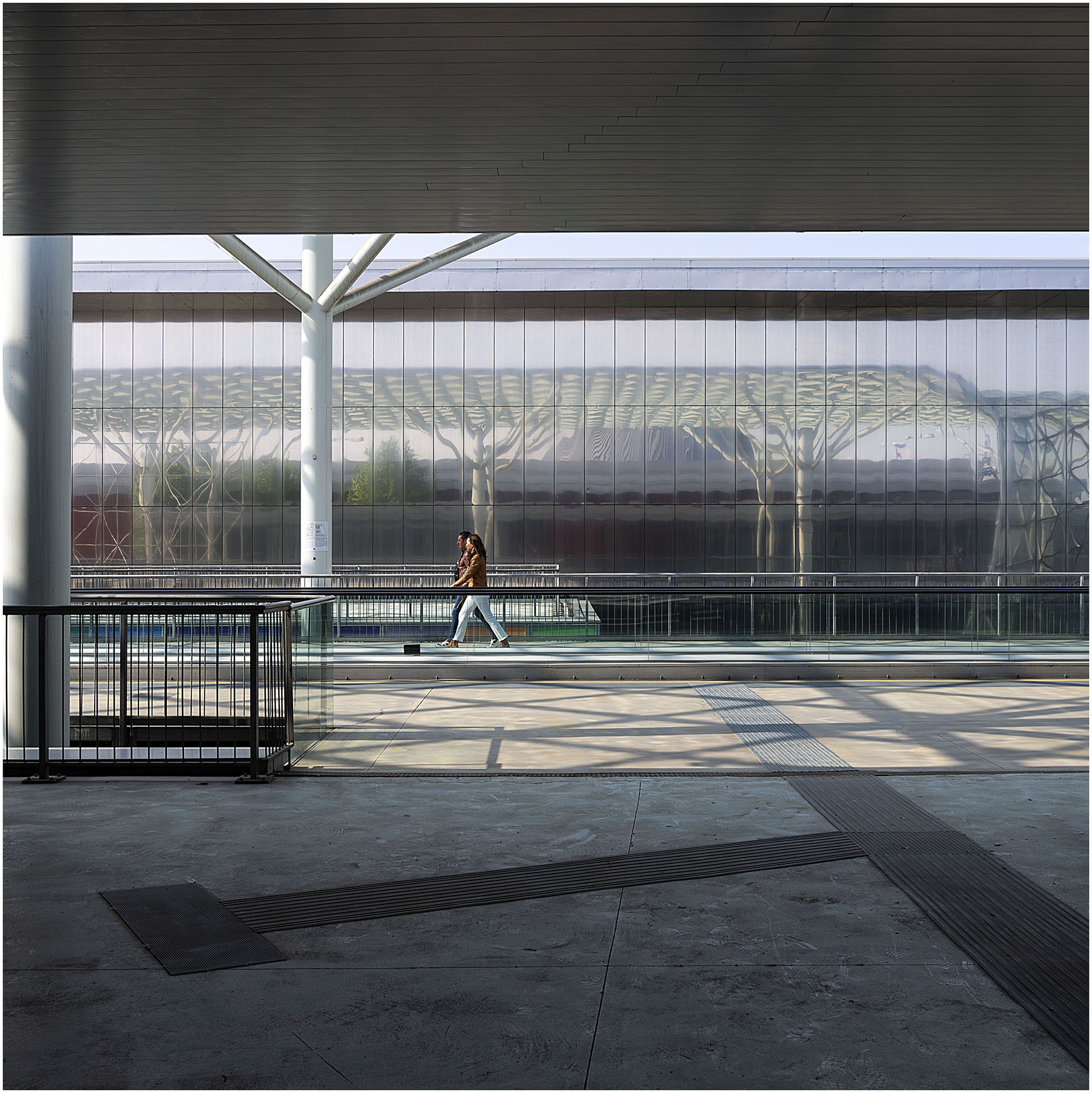 Il bosco del futuro?