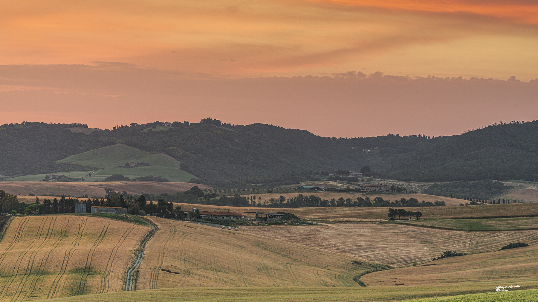Un attimo di roseo dell'alba. Colline di Orciano pisano