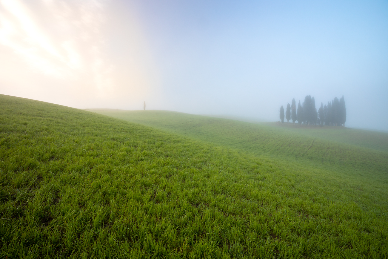 cipressi & nebbiolina