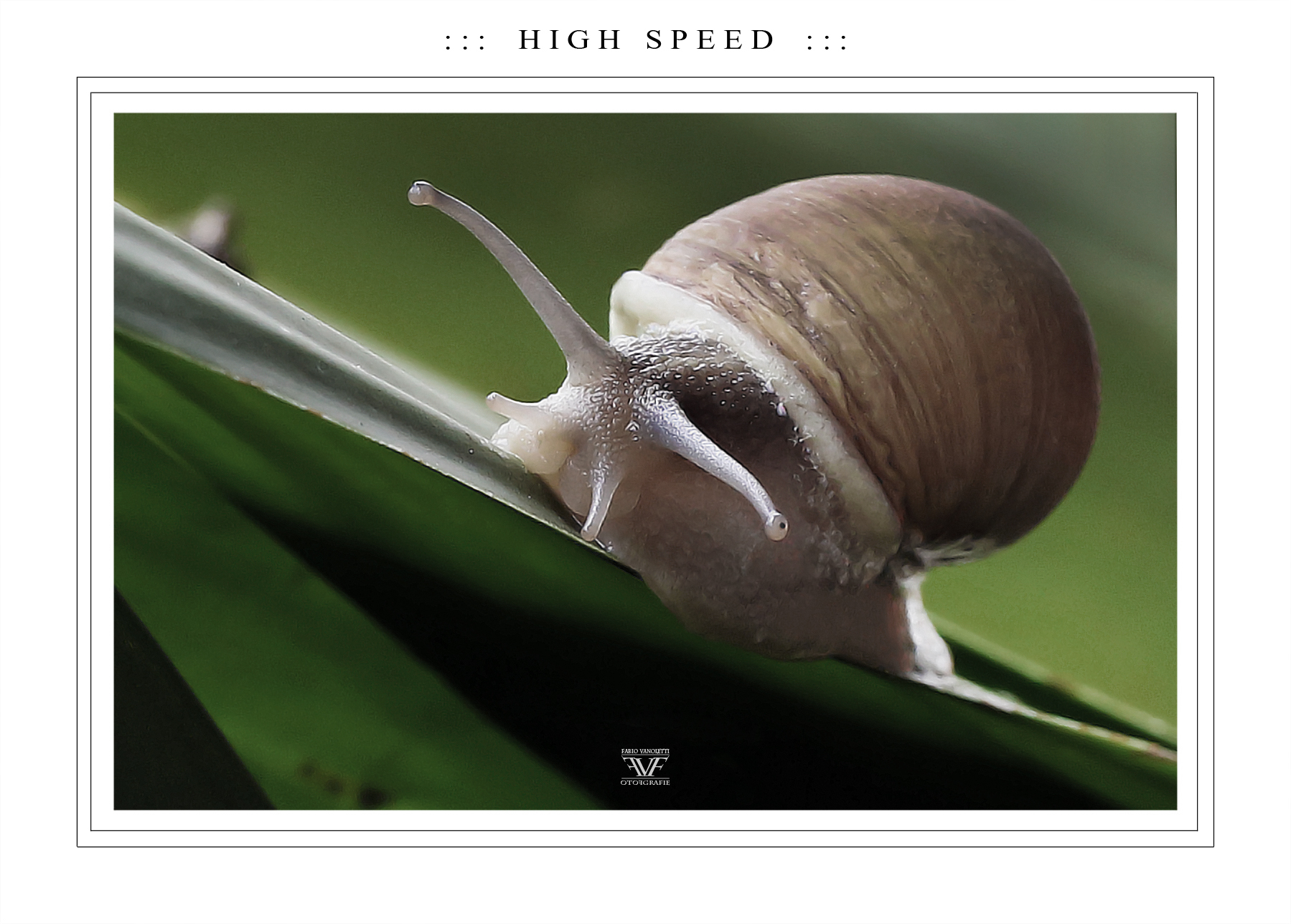 ::: H I G H   S P E E D :::