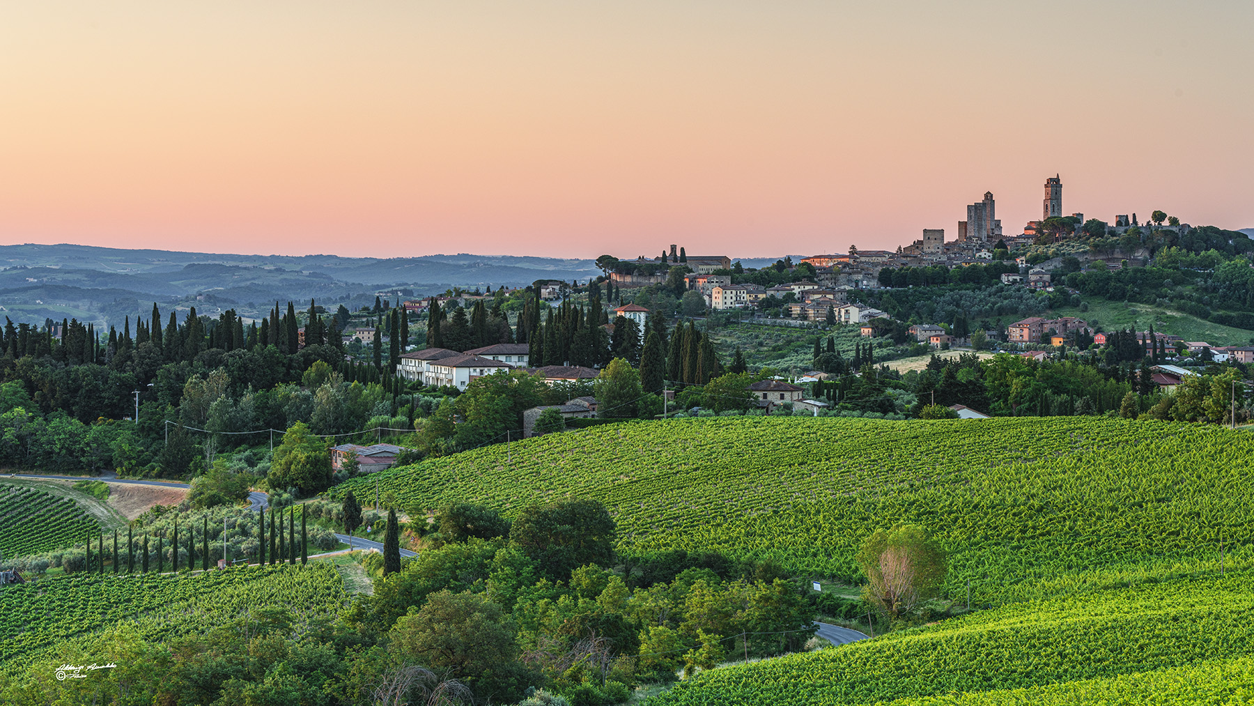 San Gimignano ed i suoi vigneti all'alba..