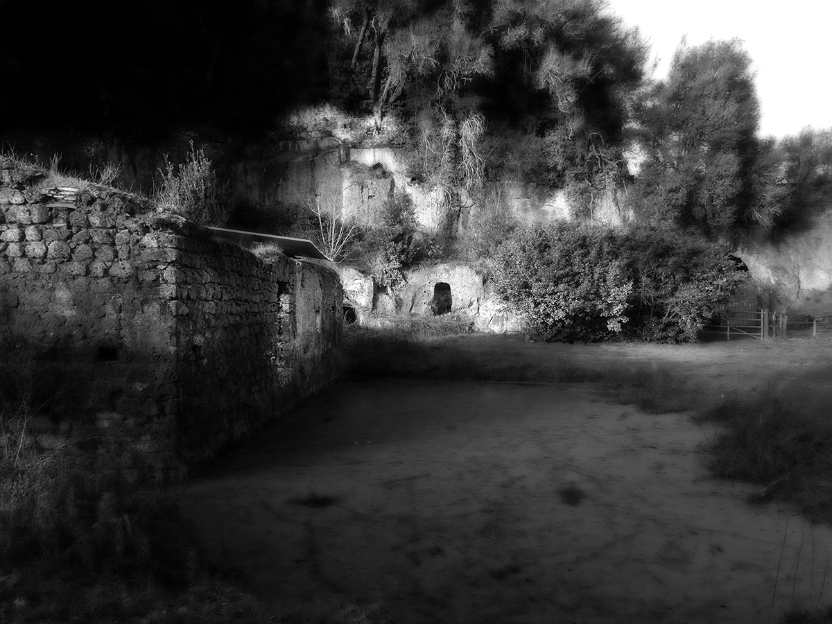 MOLA DI PROMONTE SUTRI