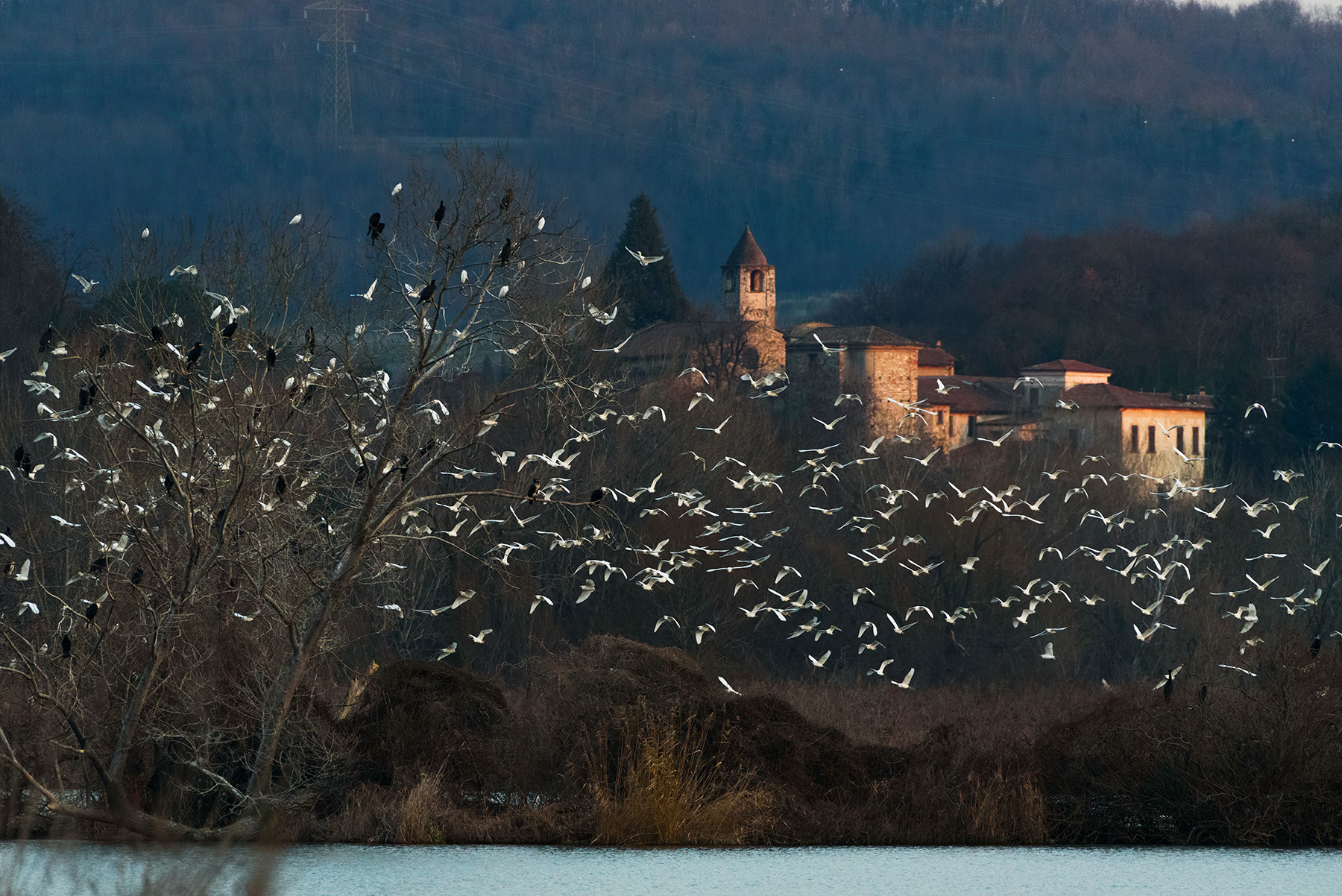 Monastero e Guardabuoi